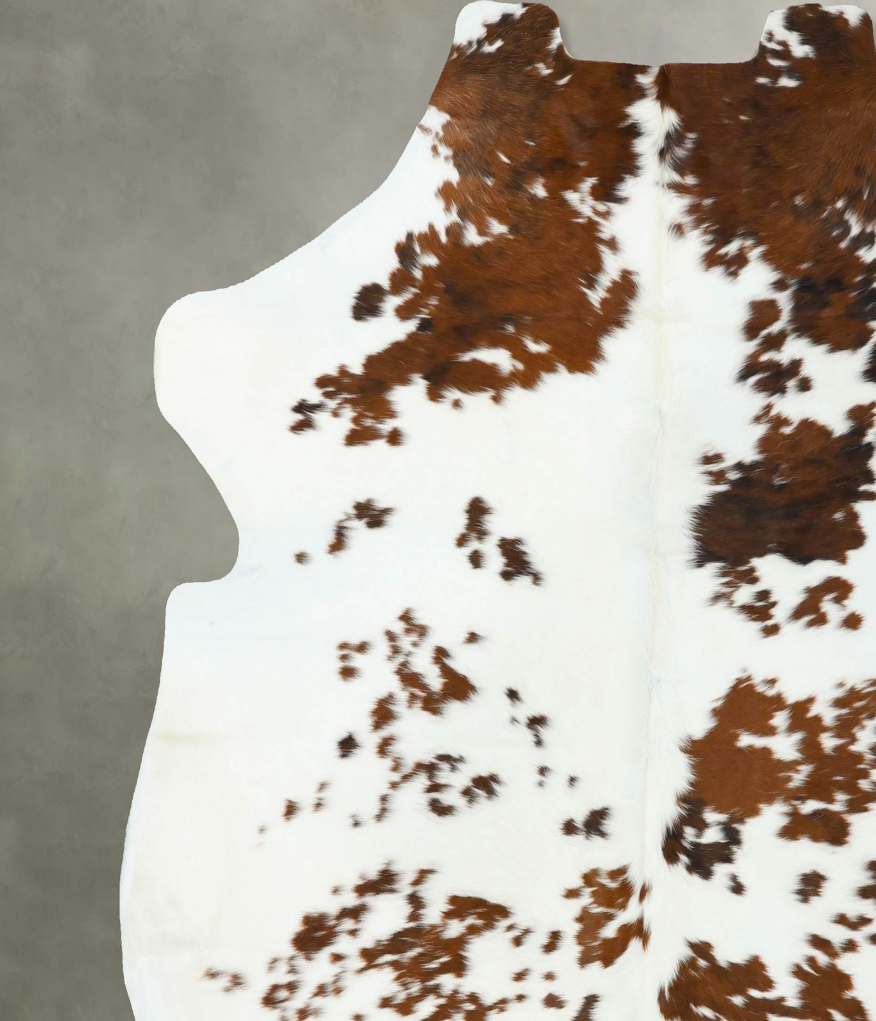 Tricolor Cowhide Rug #B22637