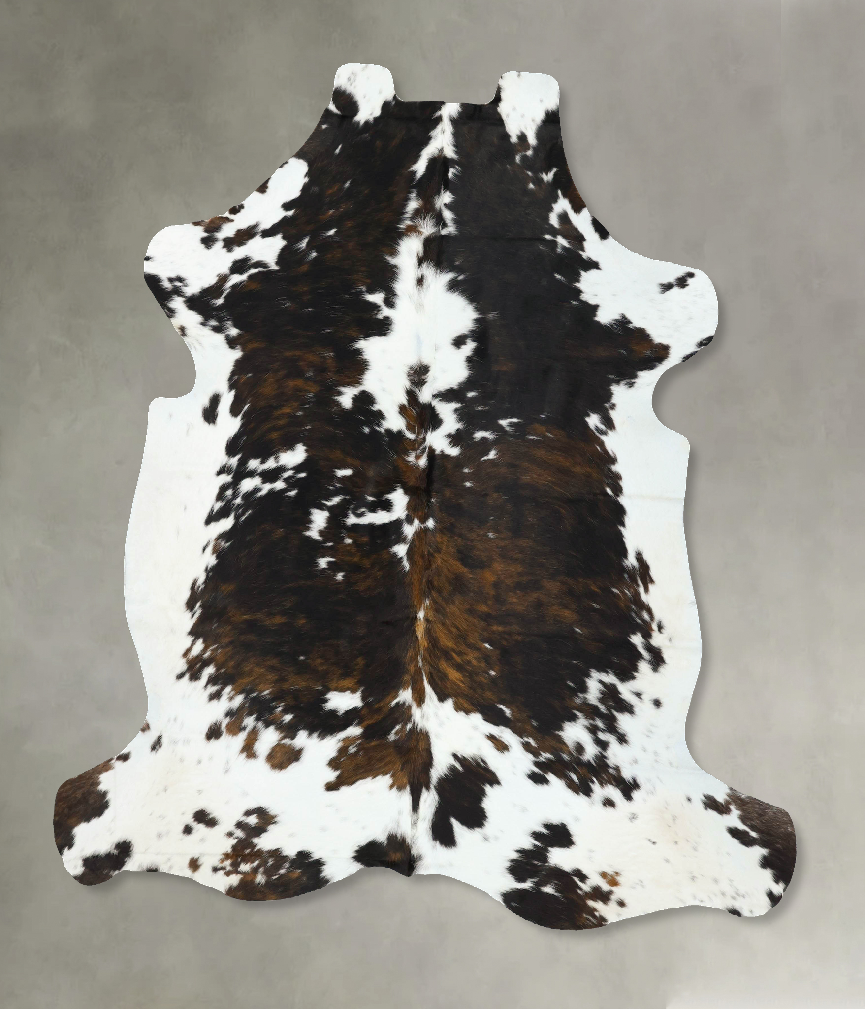 Tricolor Cowhide Rug #B22639