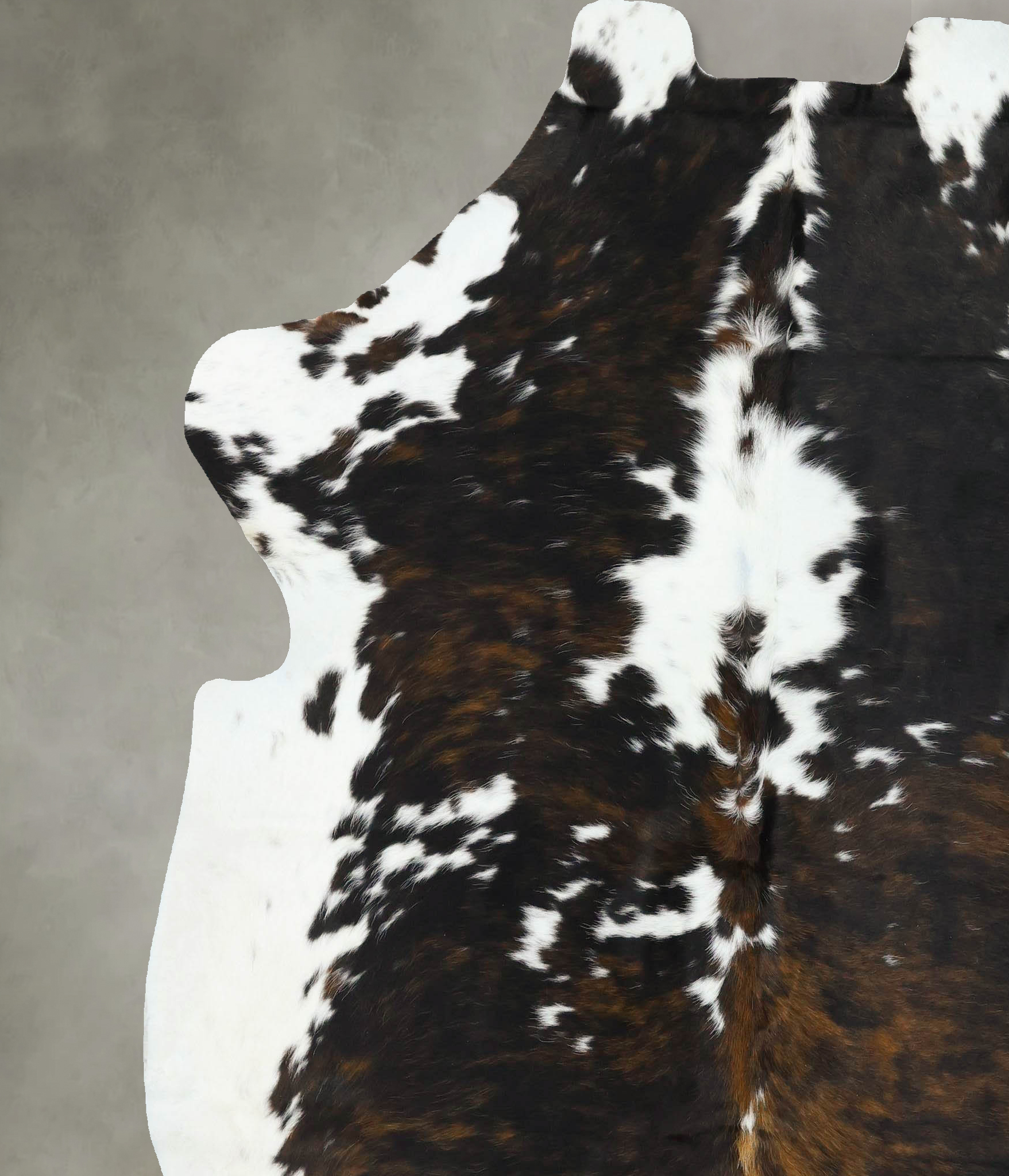 Tricolor Cowhide Rug #B22639