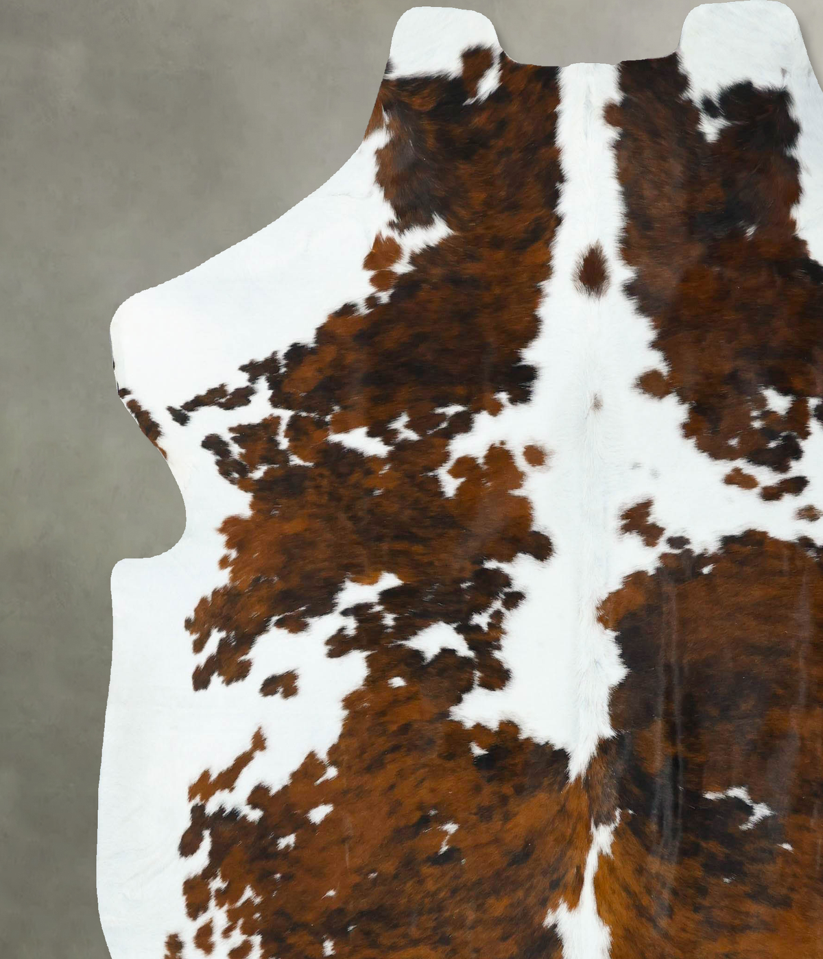 Tricolor XX-Large European Cowhide Rug 7'6"H x 6'11"W #B22641 by Hudson Hides