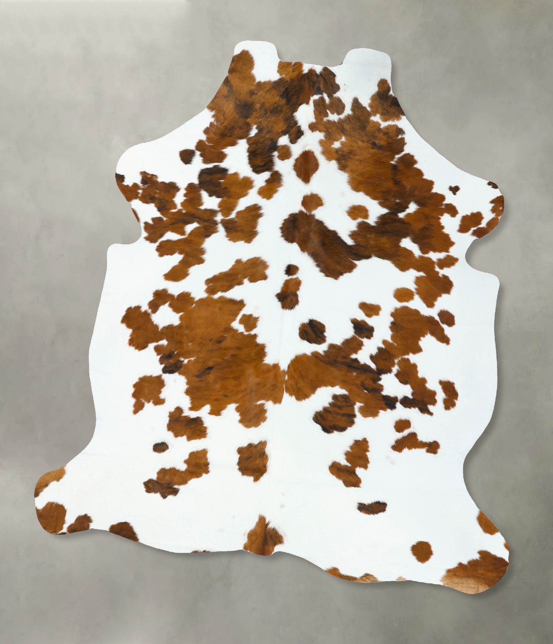 Tricolor Cowhide Rug #B22642