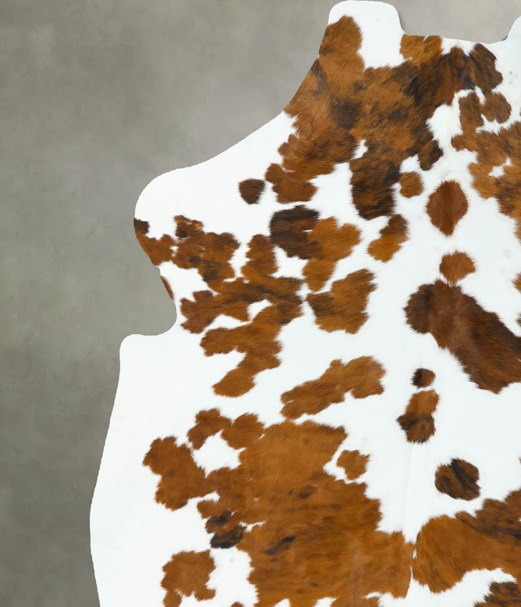 Tricolor Cowhide Rug #B22642