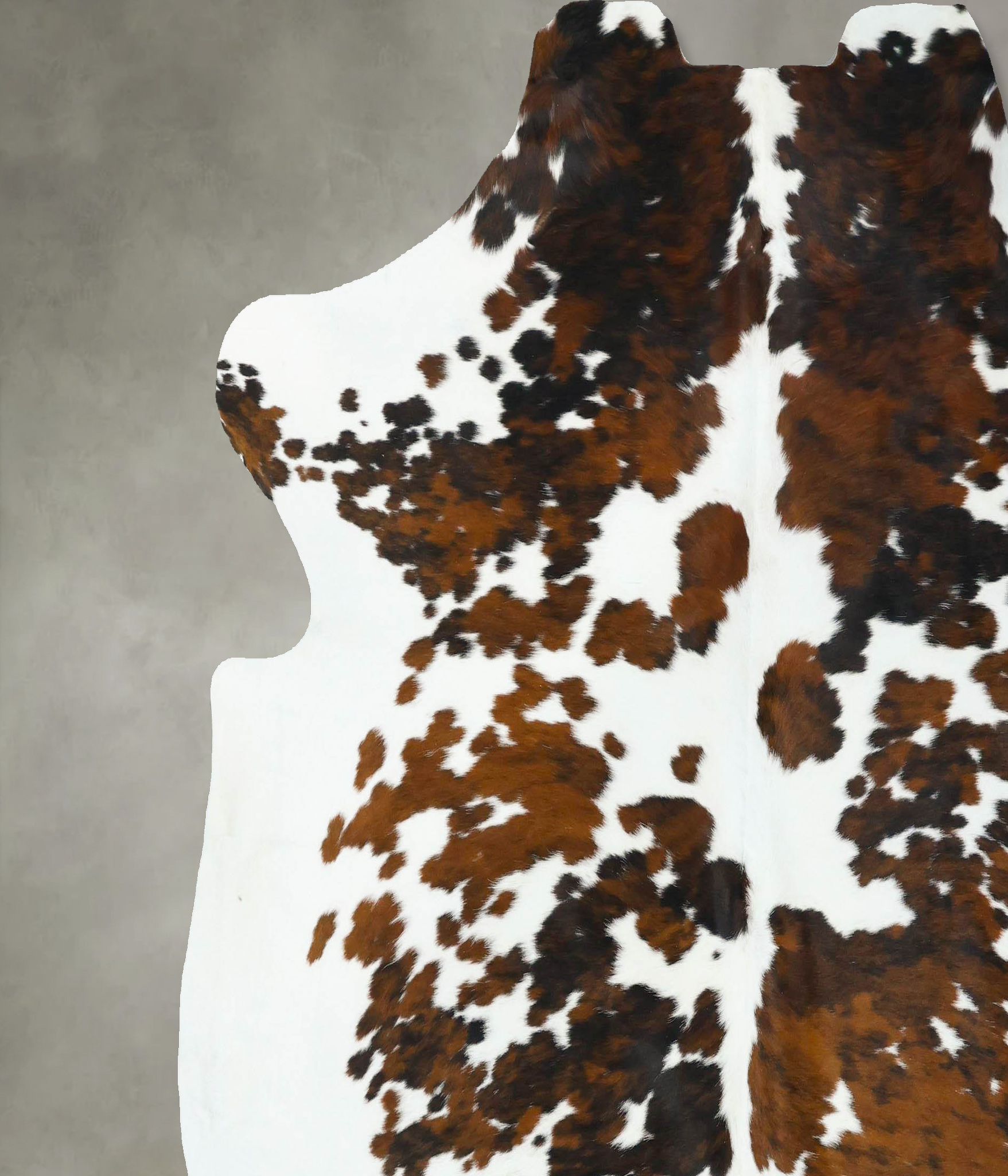 Tricolor Cowhide Rug #B22643
