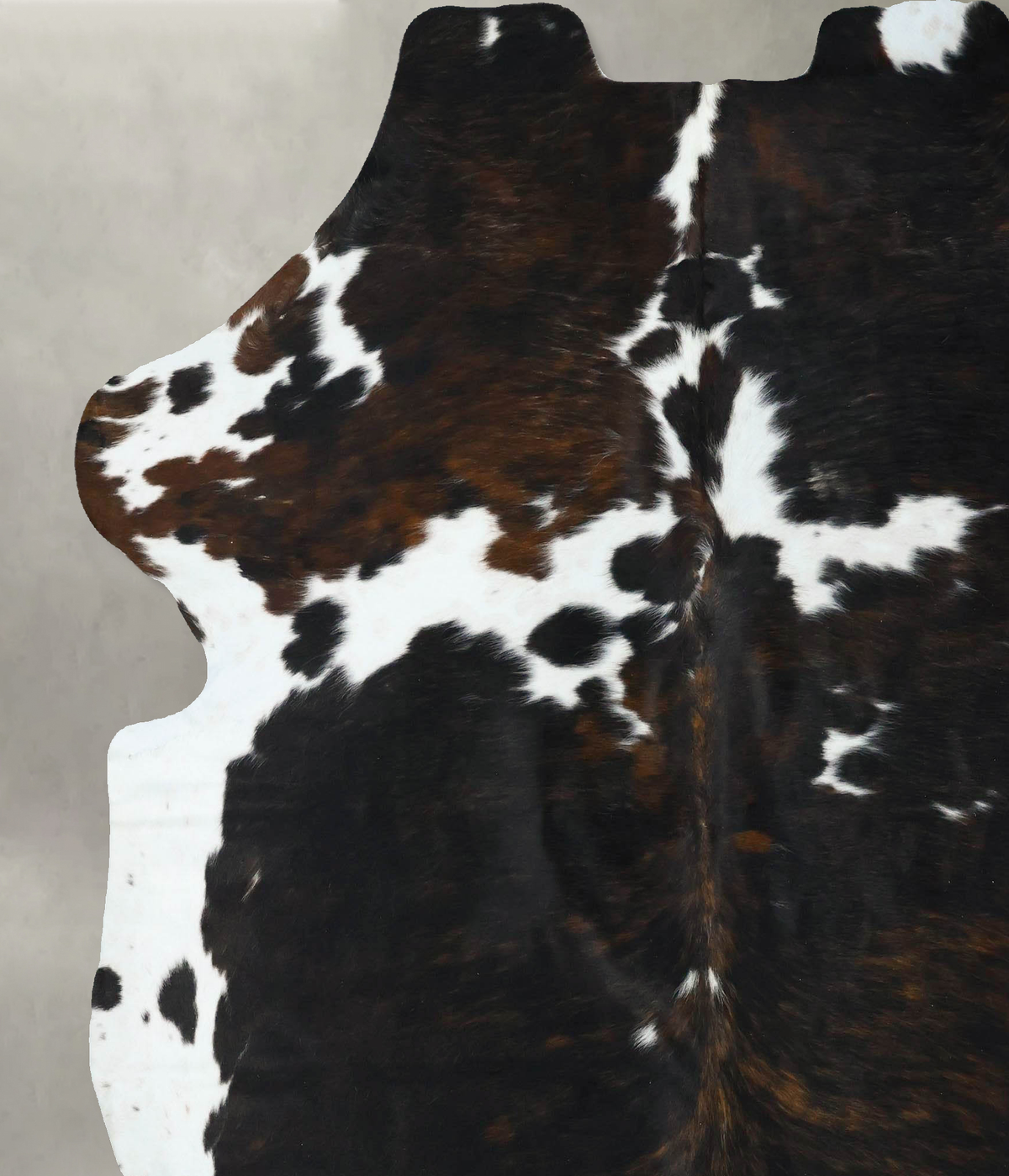 Tricolor XX-Large European Cowhide Rug 7'9"H x 6'9"W #B22647 by Hudson Hides