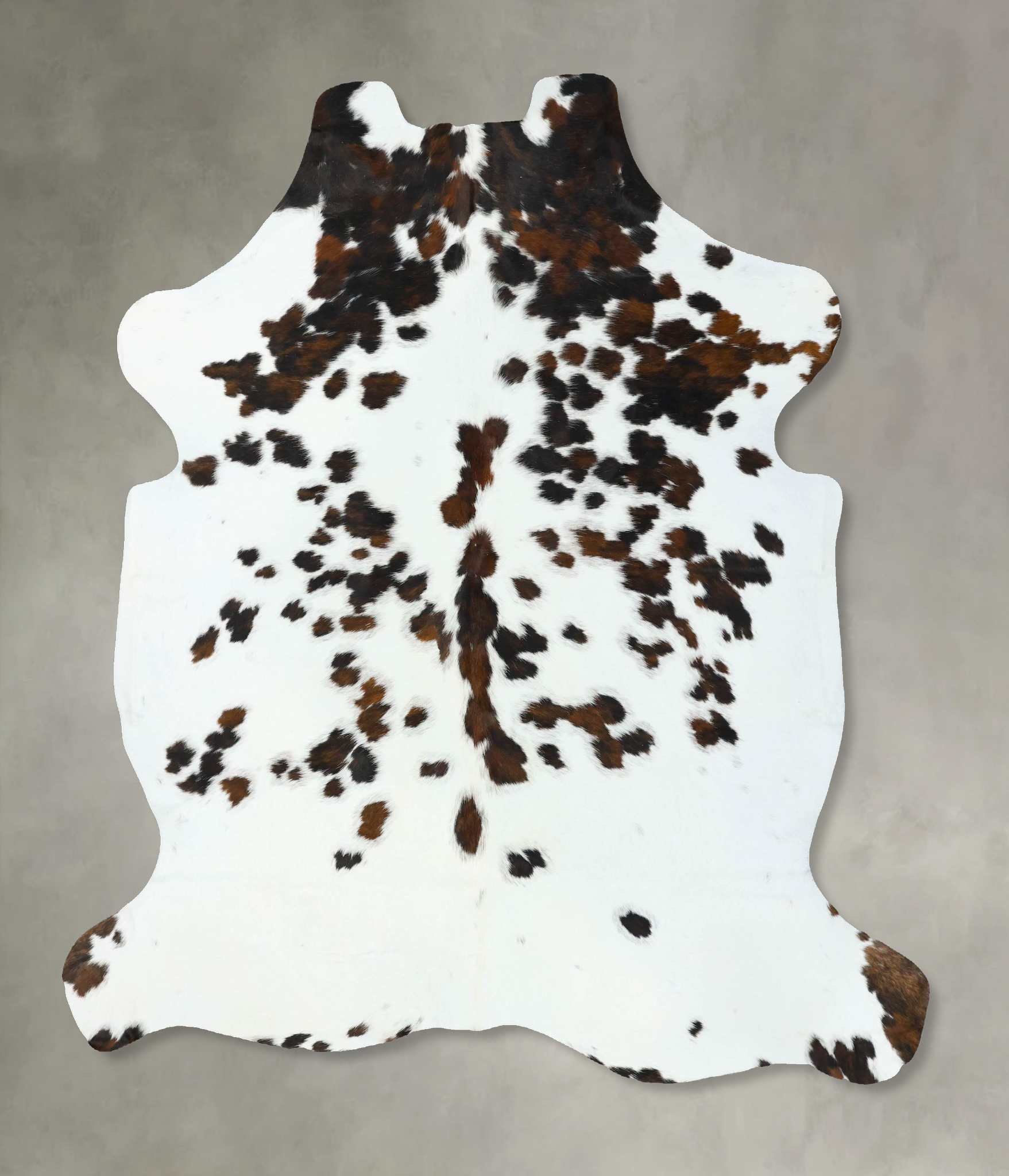 Tricolor Cowhide Rug #B22648