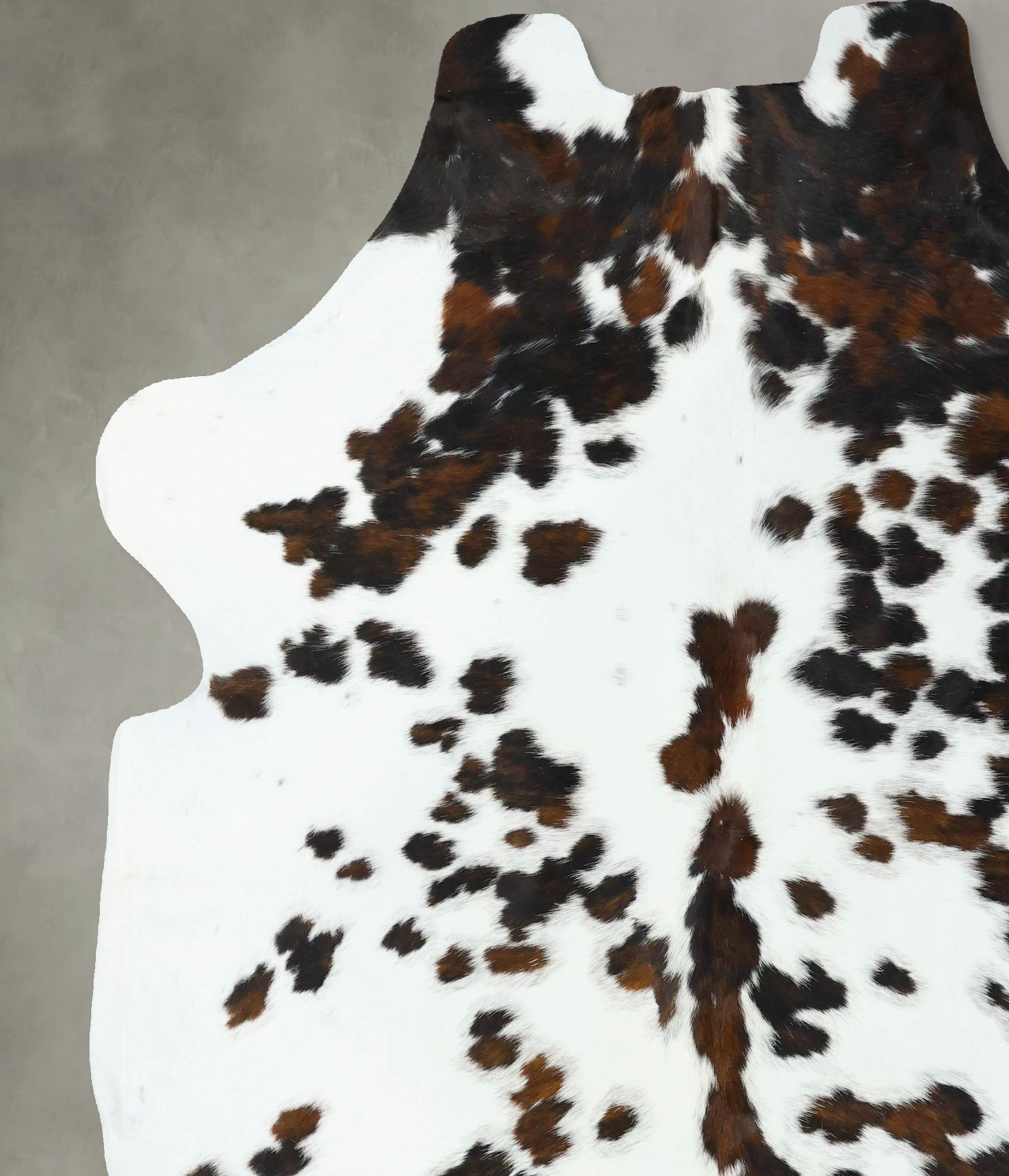 Tricolor Cowhide Rug #B22648