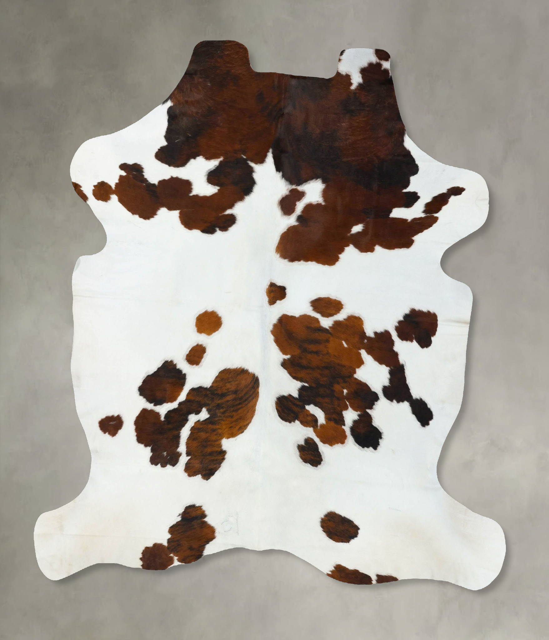 Tricolor Cowhide Rug #B22650