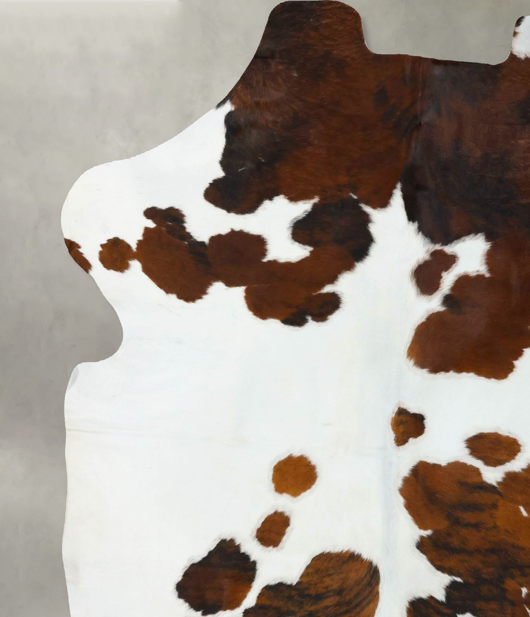 Tricolor Cowhide Rug #B22650
