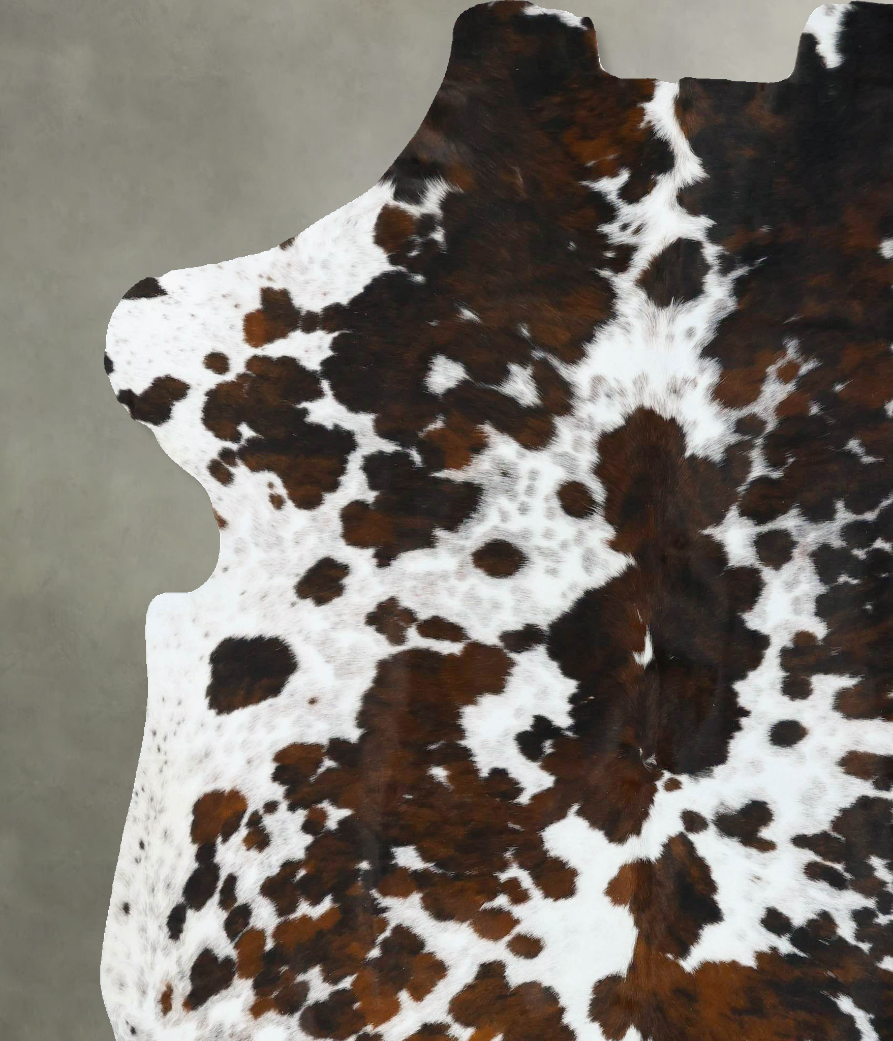 Tricolor Cowhide Rug #B22651