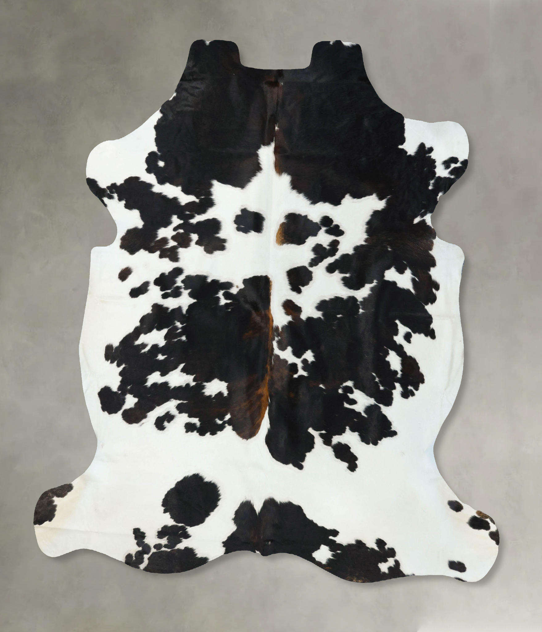 Tricolor Cowhide Rug #B22652