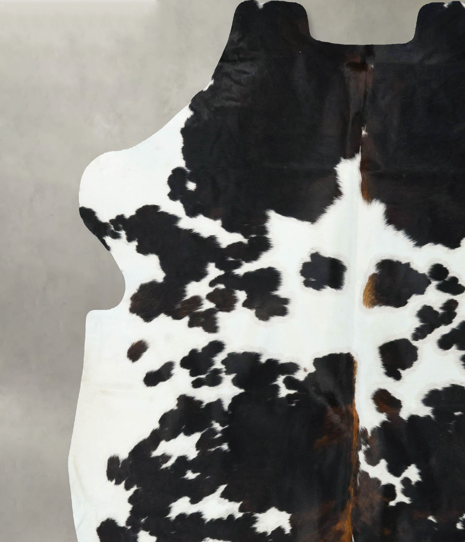 Tricolor Cowhide Rug #B22652