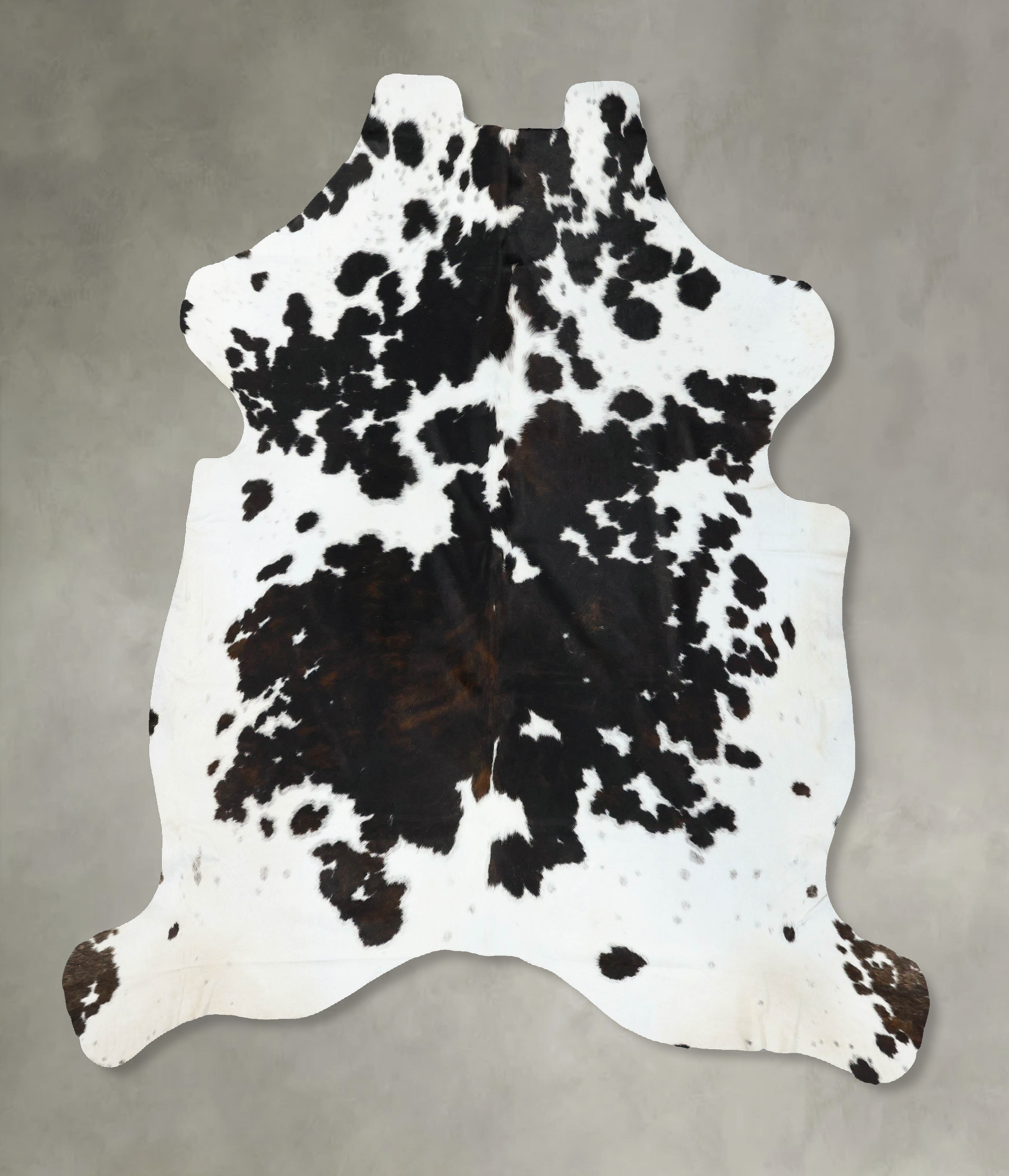 Tricolor Cowhide Rug #B22653