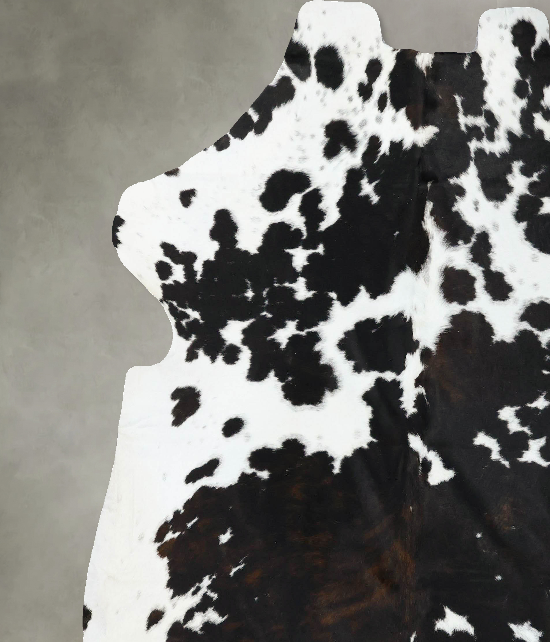Tricolor Cowhide Rug #B22653
