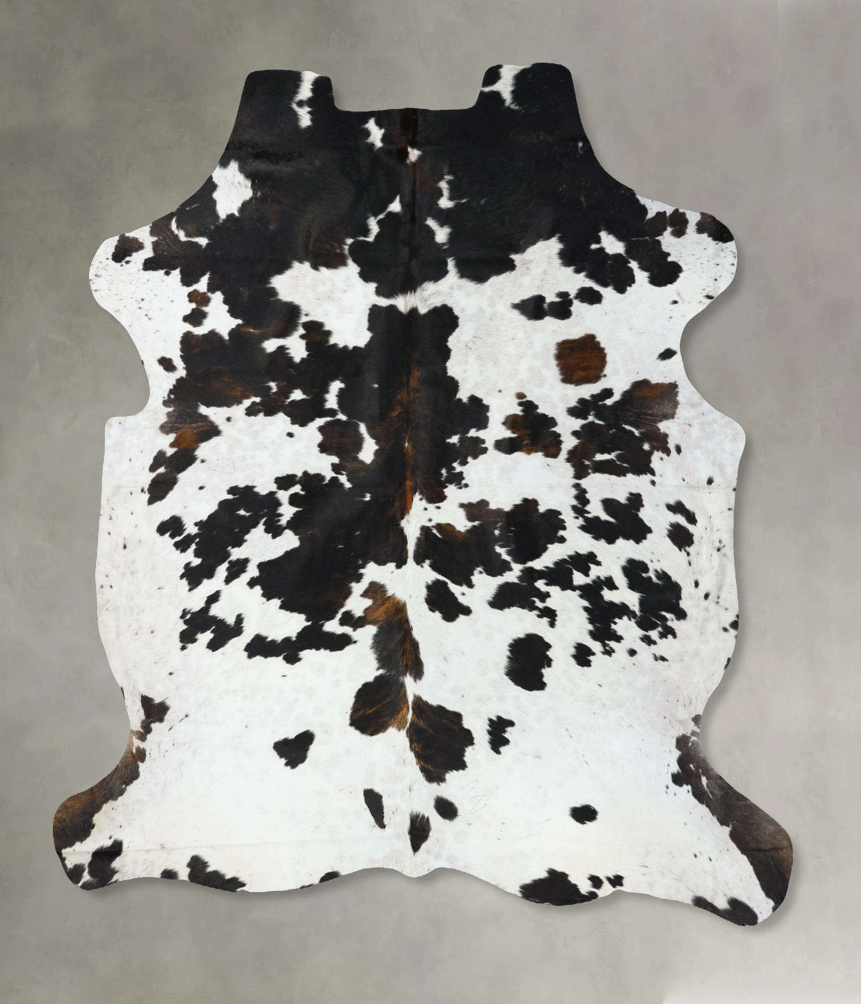 Tricolor Cowhide Rug #B22657