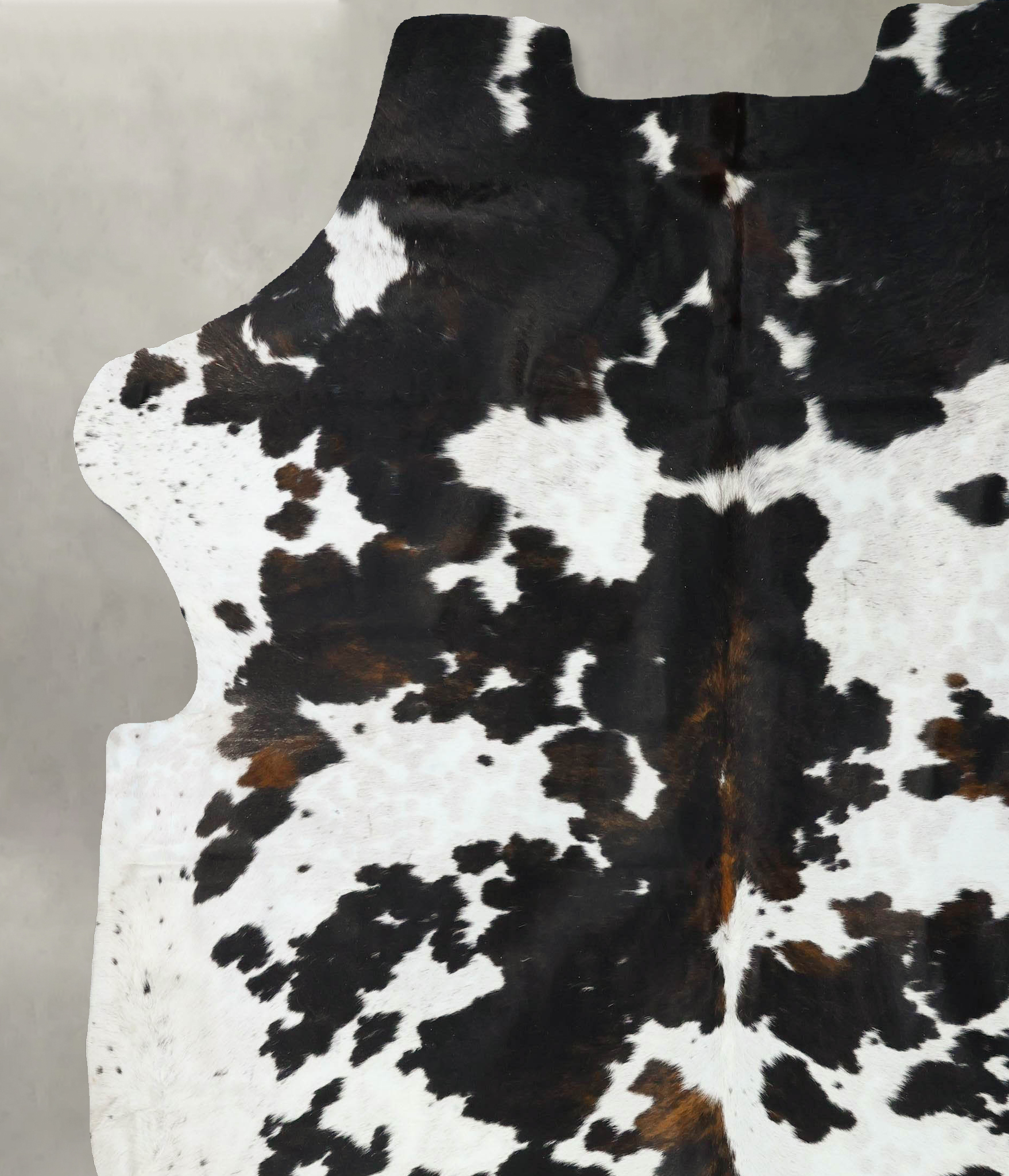 Tricolor Cowhide Rug #B22657