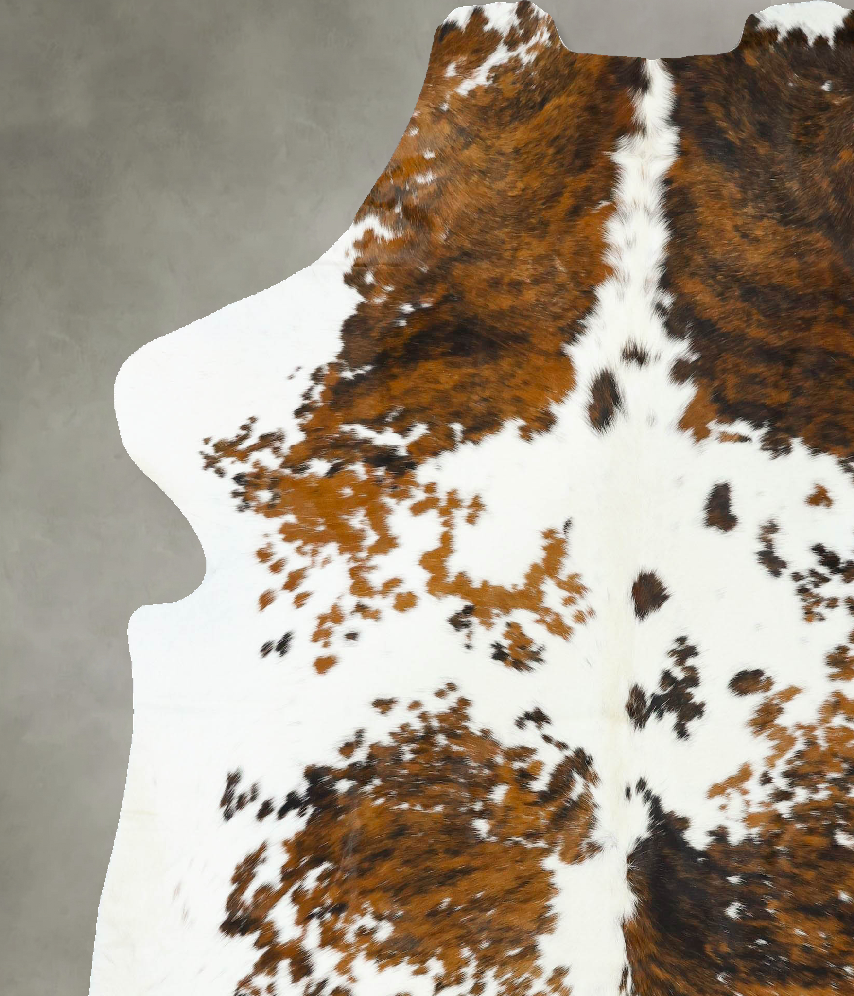 Tricolor Cowhide Rug #B22661