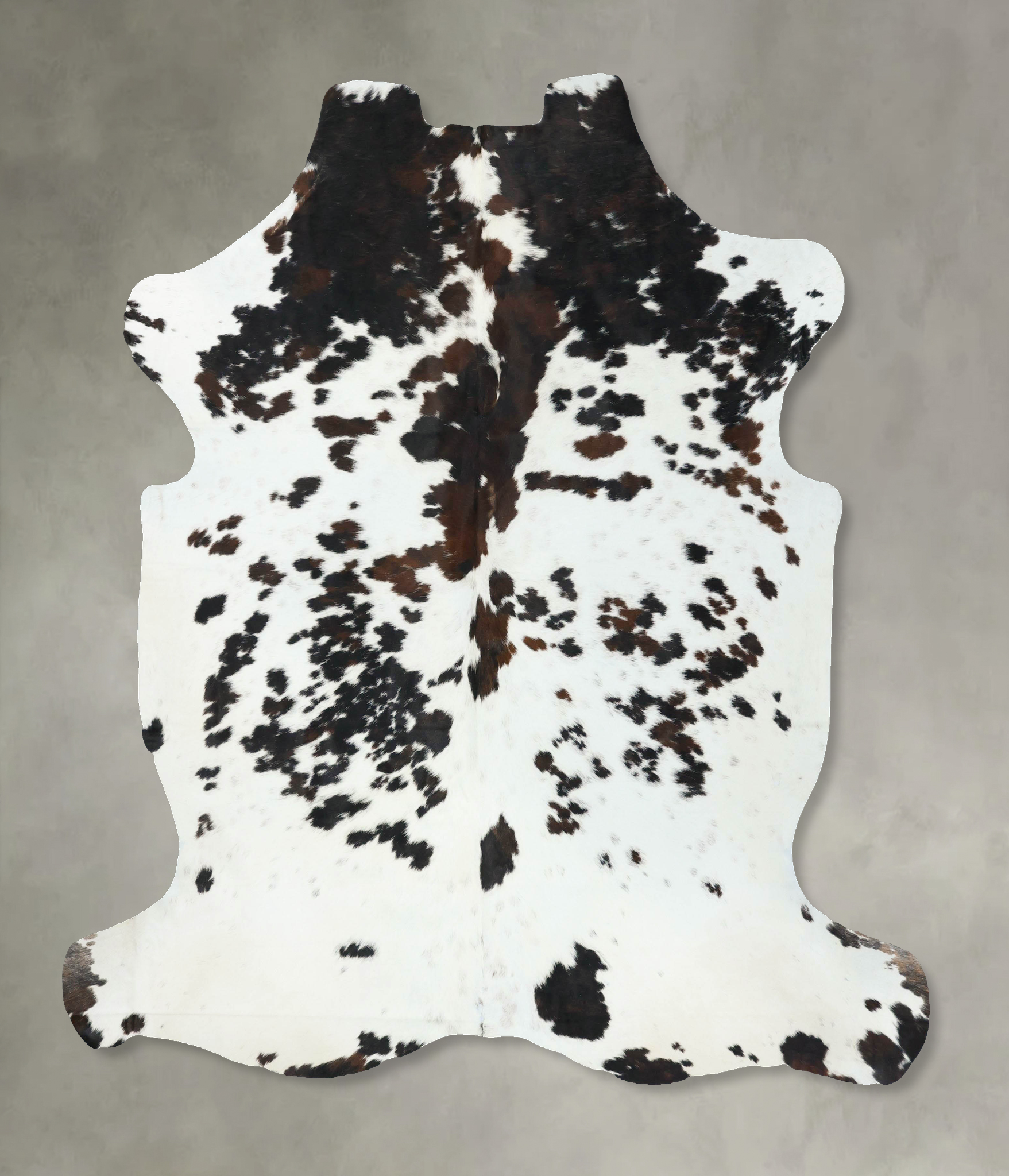 Tricolor Cowhide Rug #B22670