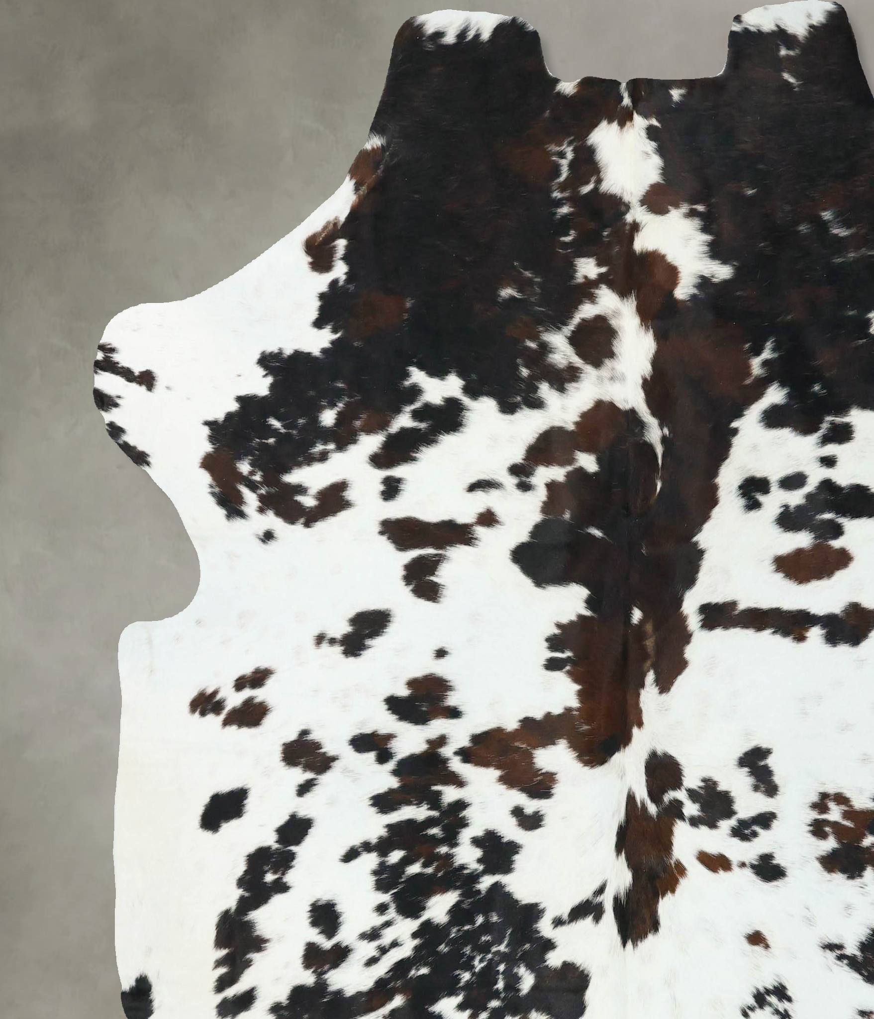 Tricolor Cowhide Rug #B22670