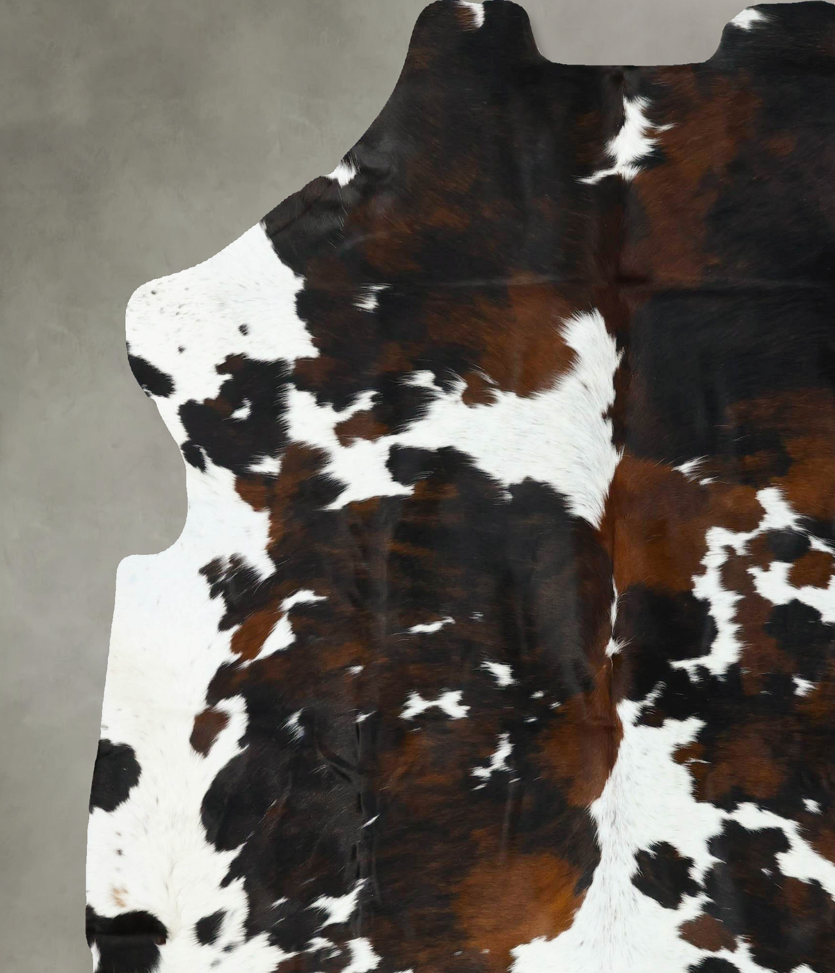 Tricolor XX-Large European Cowhide Rug 7'7"H x 6'9"W #B22676 by Hudson Hides