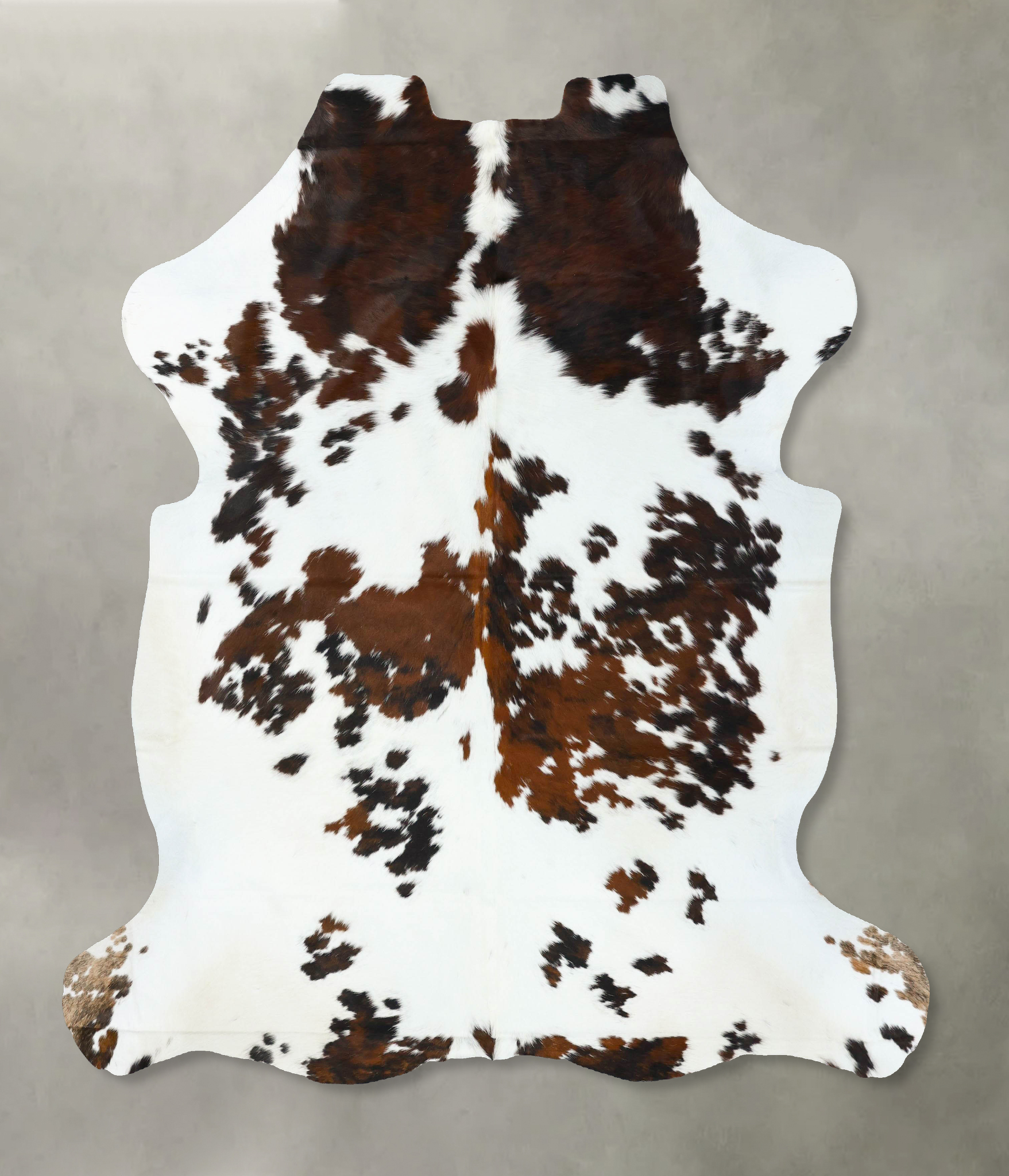 Tricolor Cowhide Rug #B22677