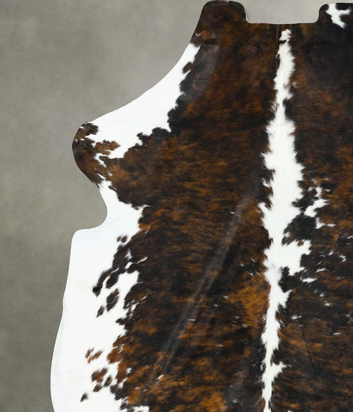 Tricolor XX-Large European Cowhide Rug 8'7"H x 7'0"W #B22679 by Hudson Hides