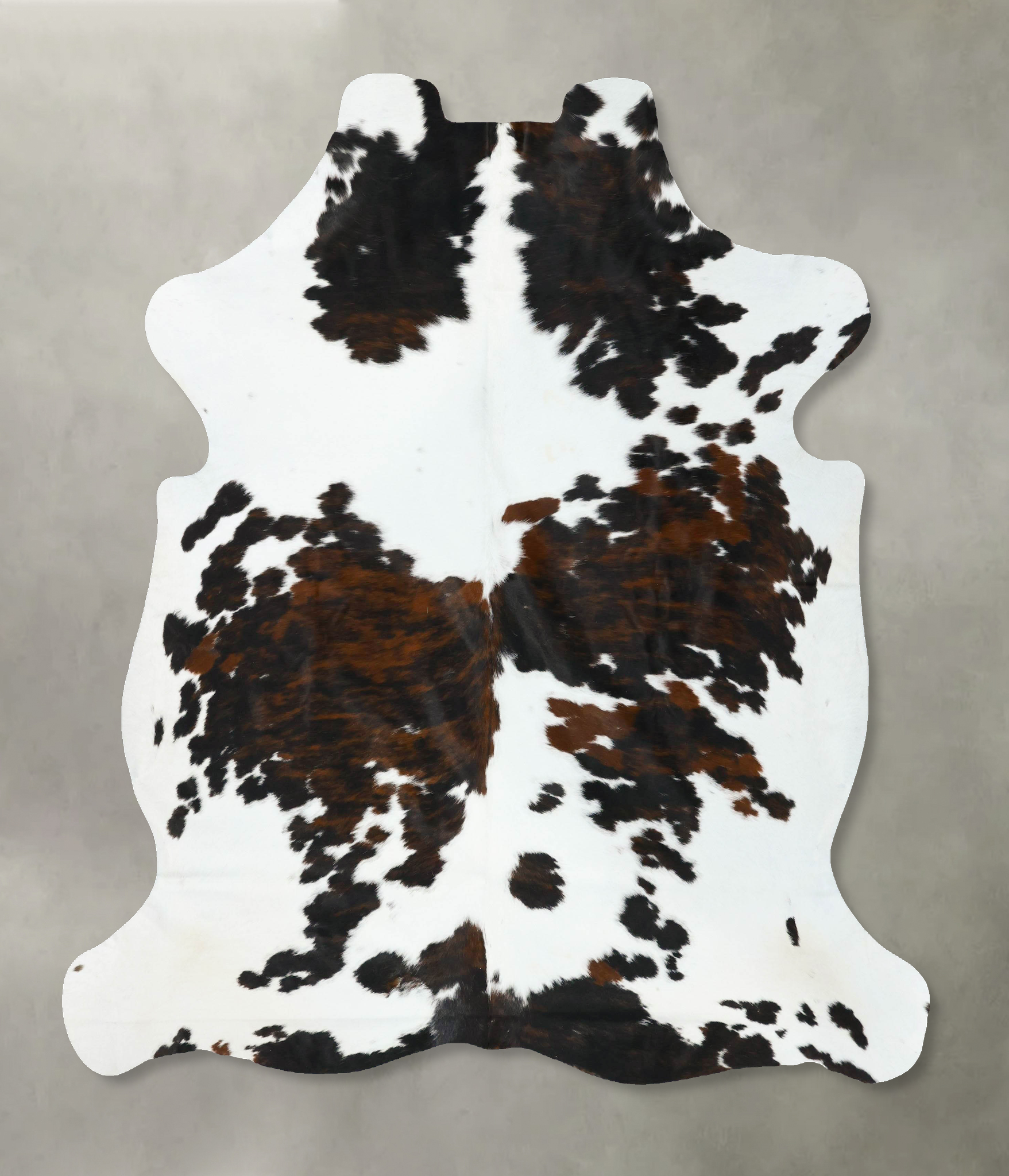 Tricolor Cowhide Rug #B22682