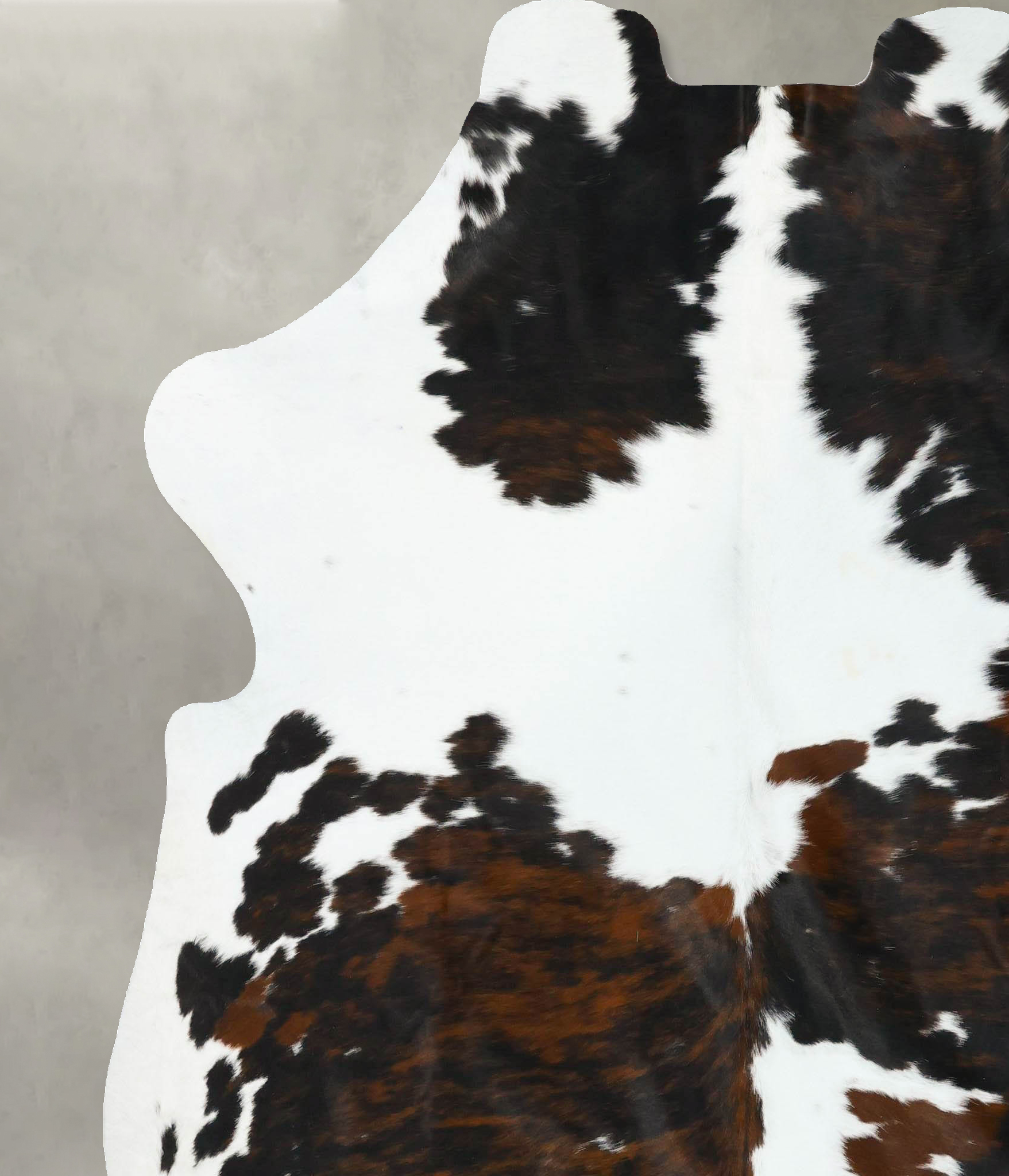 Tricolor Cowhide Rug #B22682