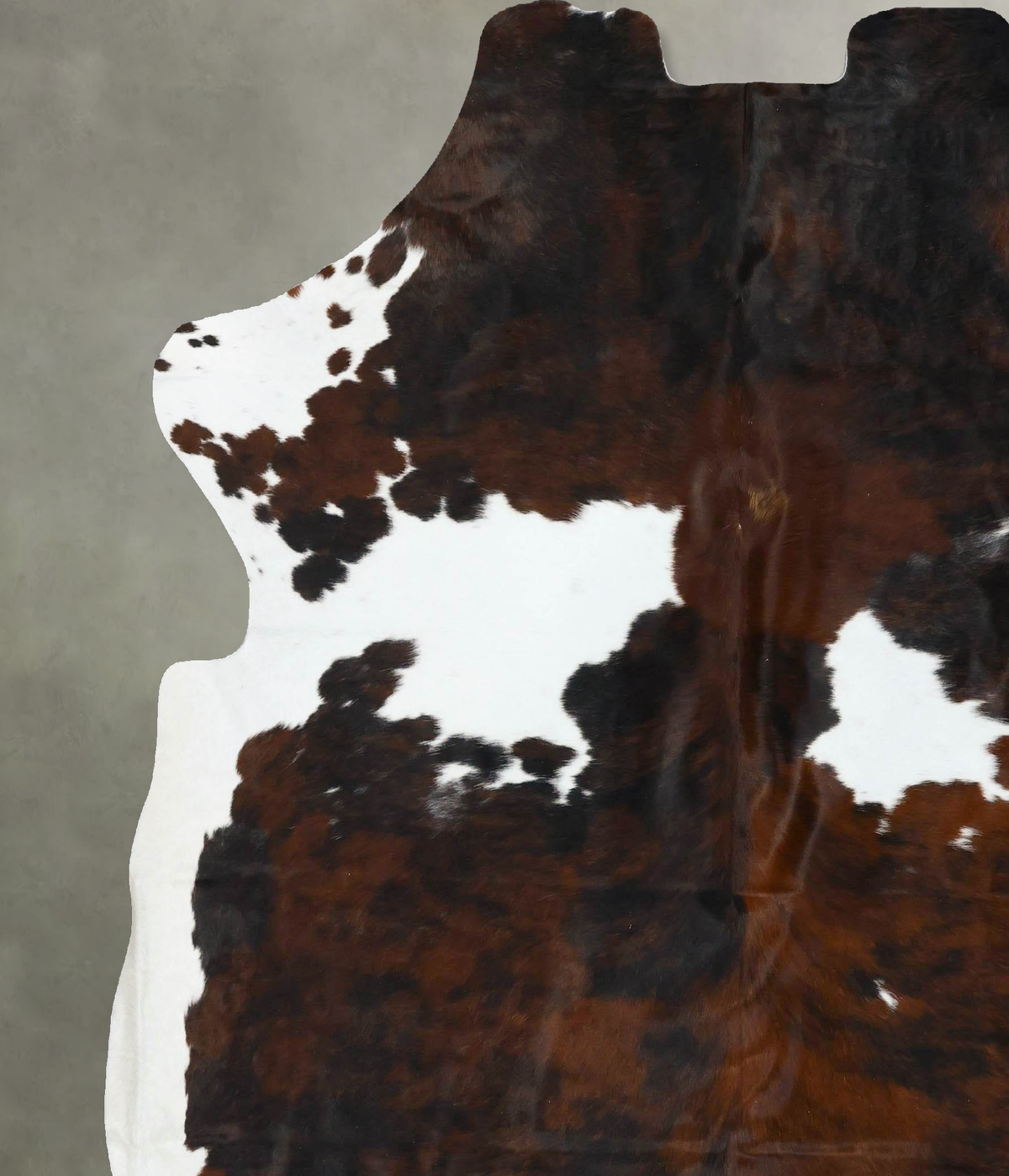 Tricolor XX-Large European Cowhide Rug 7'7"H x 7'0"W #B22691 by Hudson Hides