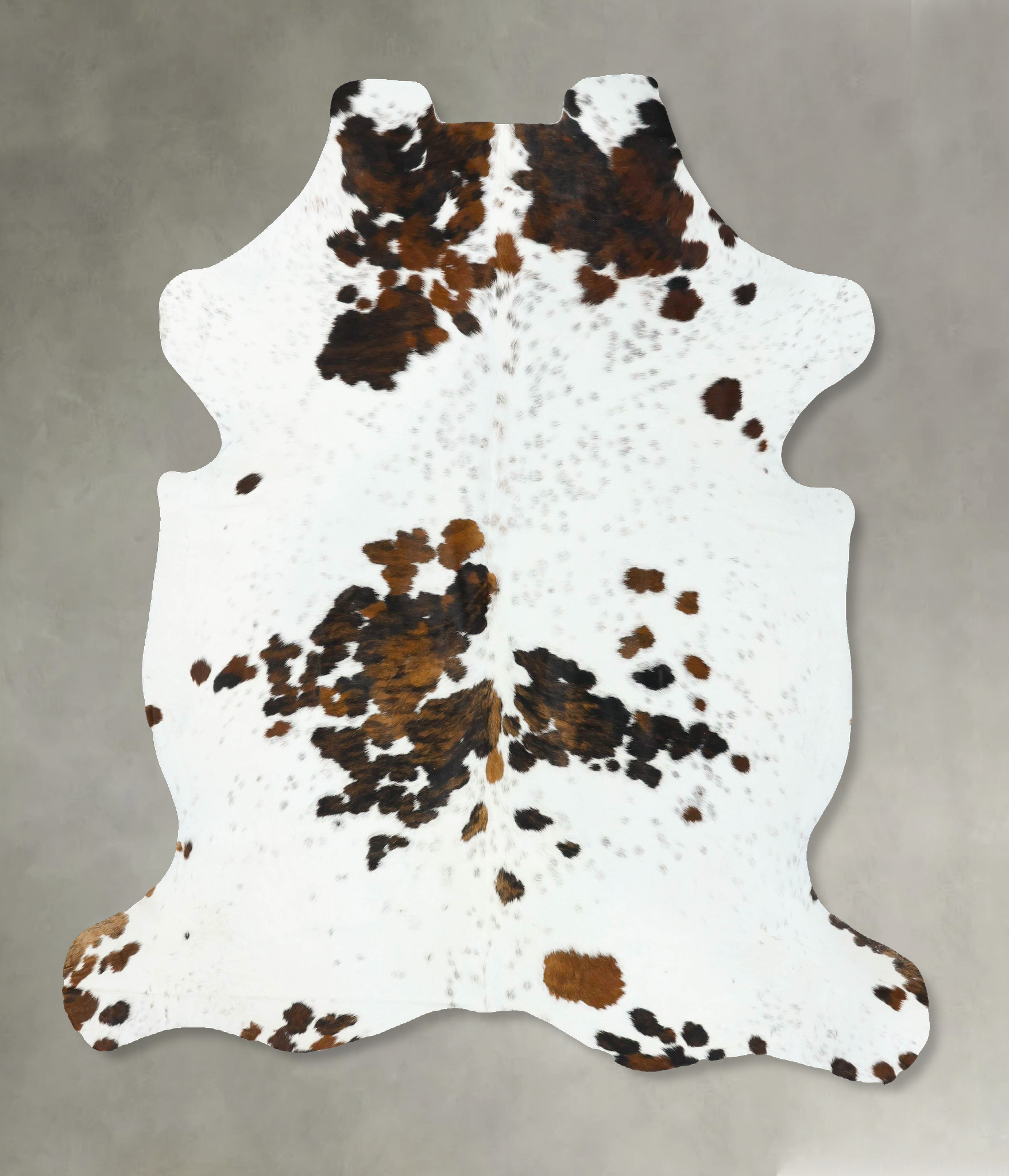 Tricolor Cowhide Rug #B22692