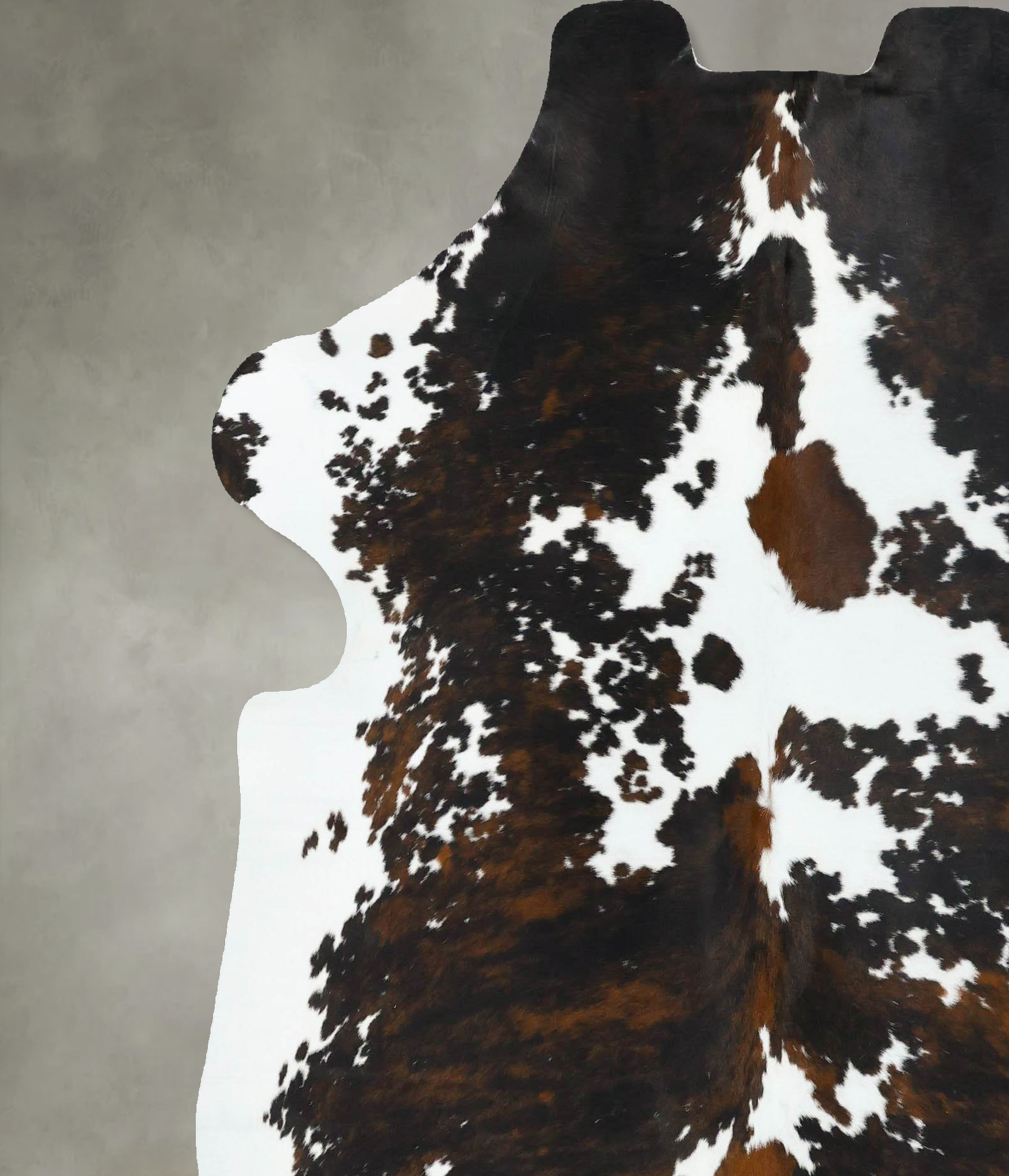 Tricolor Cowhide Rug #B22694