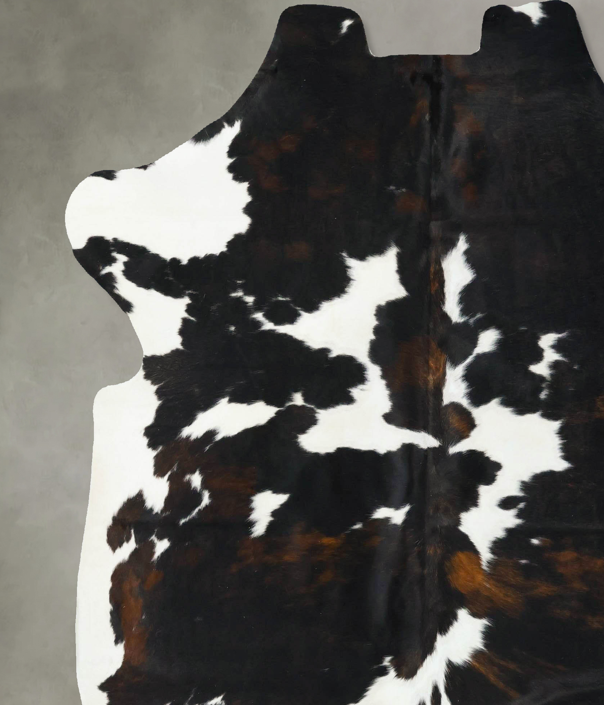 Tricolor X-Large European Cowhide Rug 7'5"H x 6'7"W #B22695 by Hudson Hides