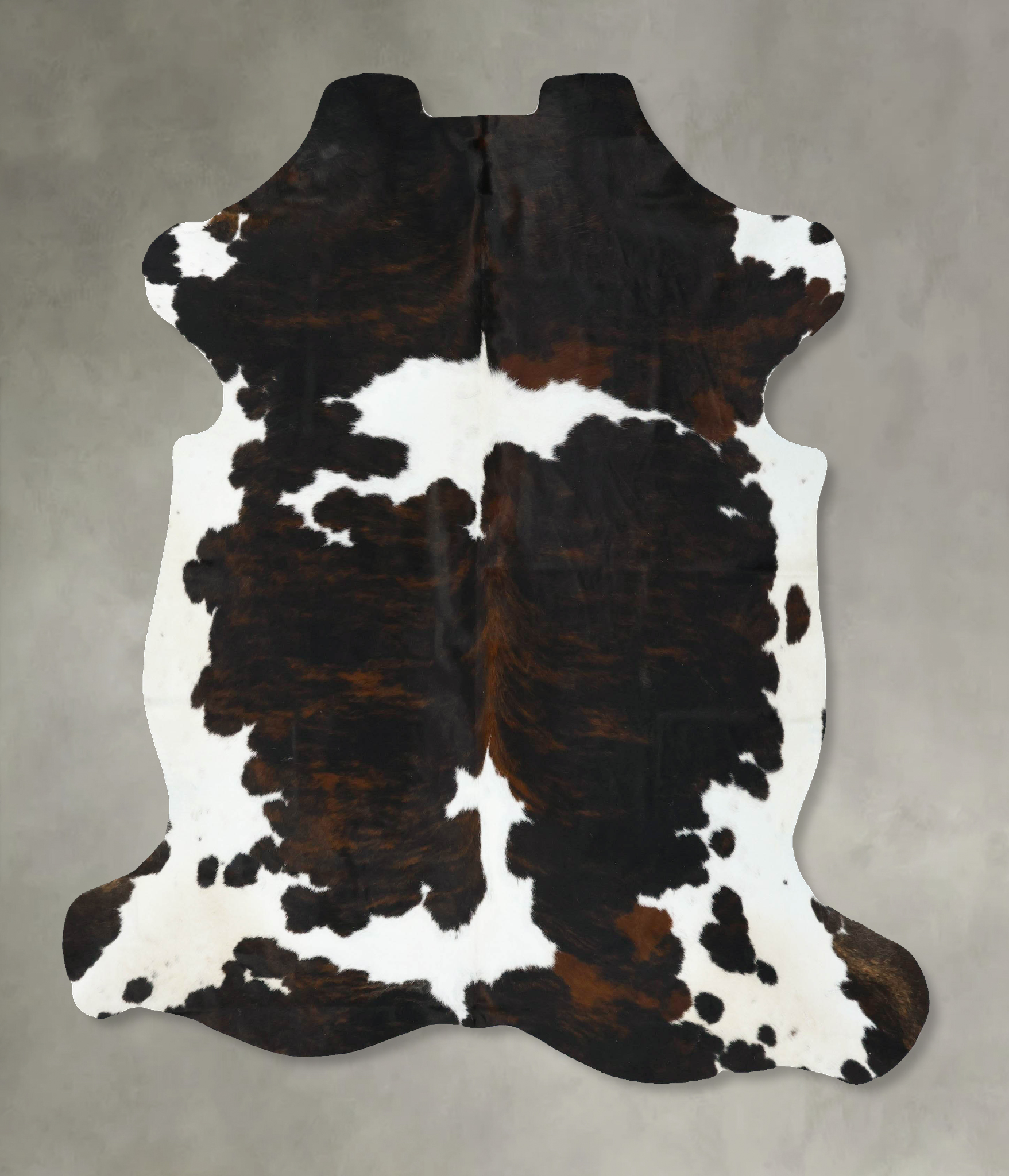 Tricolor Cowhide Rug #B22696