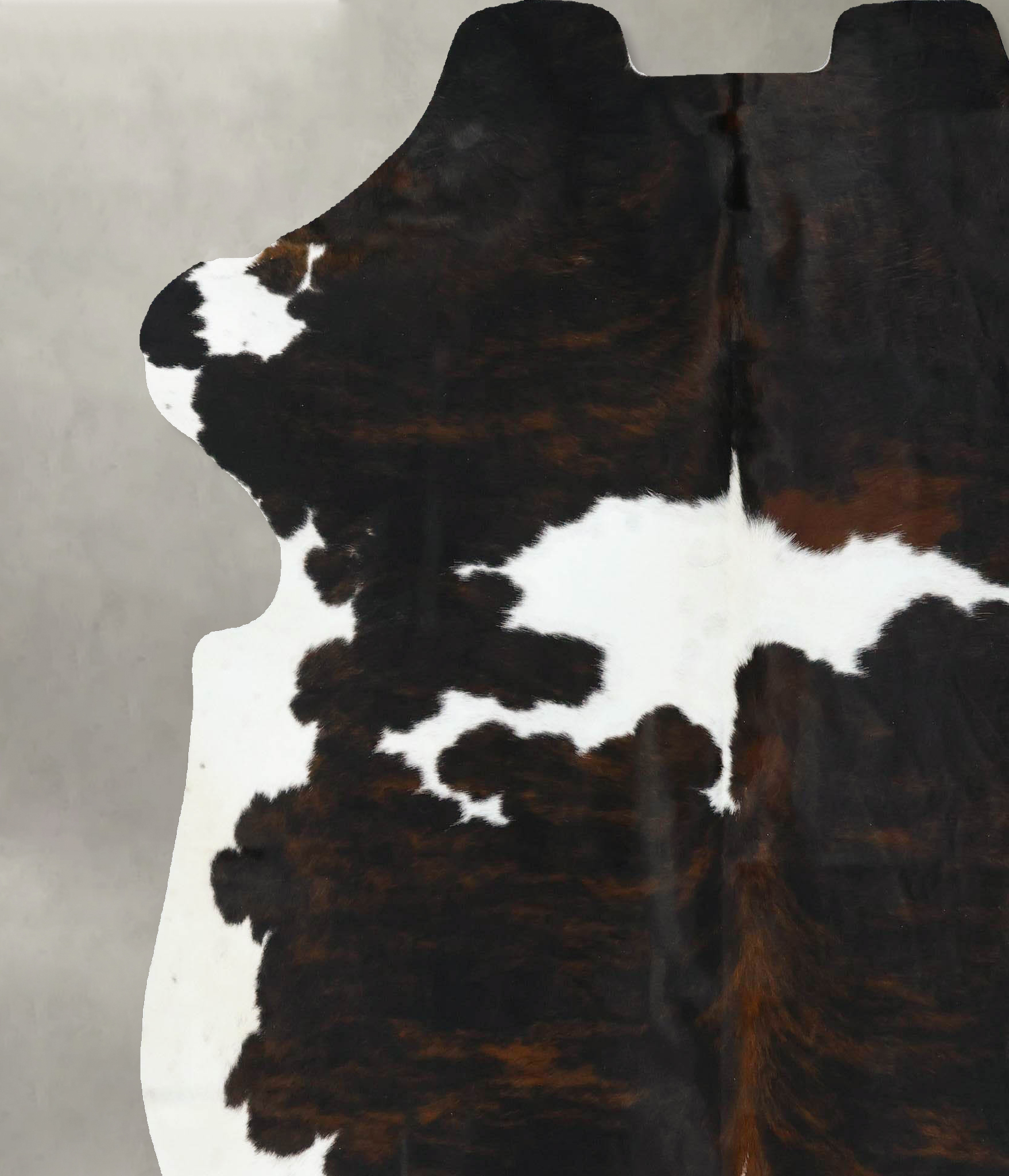 Tricolor Cowhide Rug #B22696