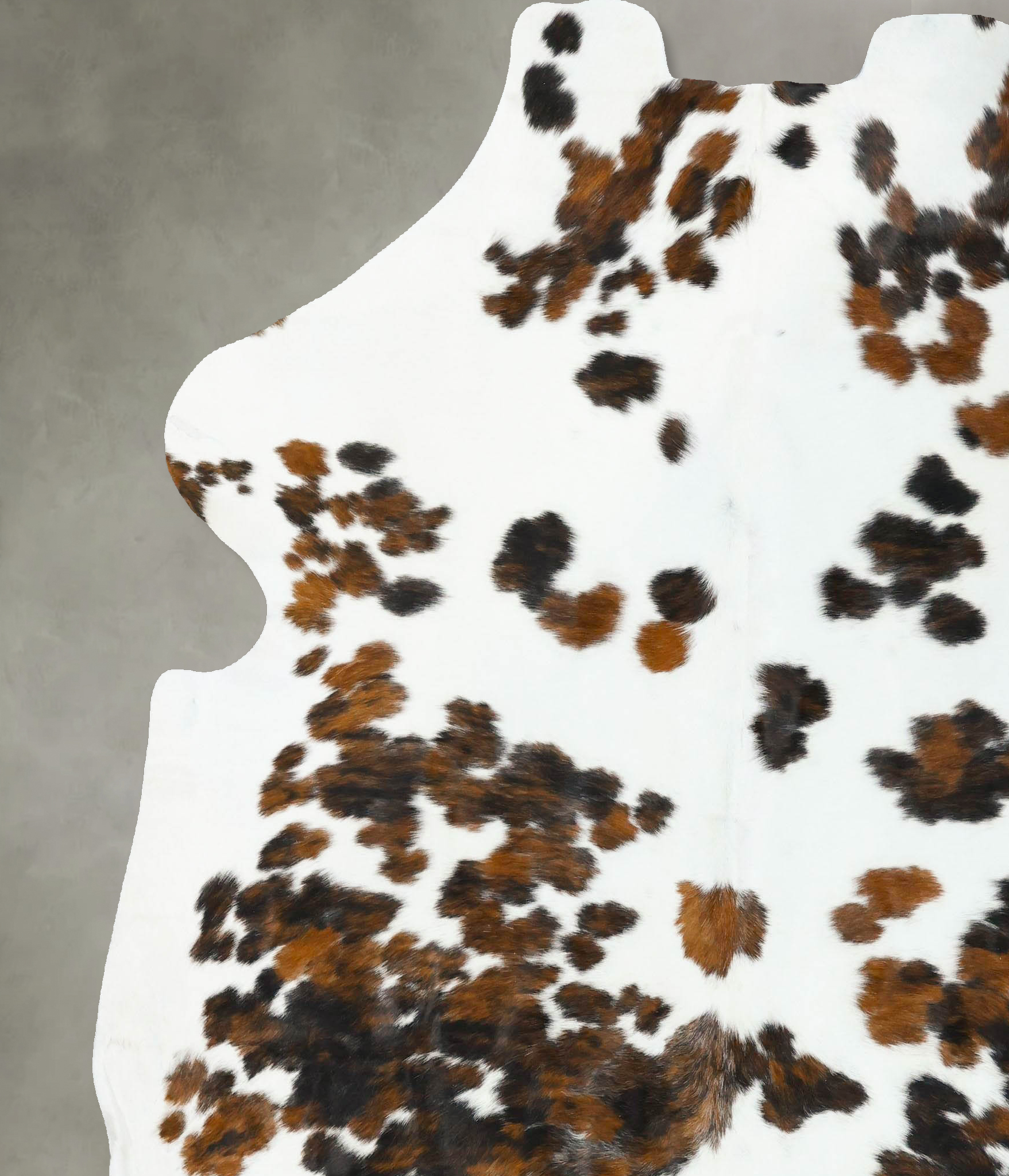 Tricolor Cowhide Rug #B22697