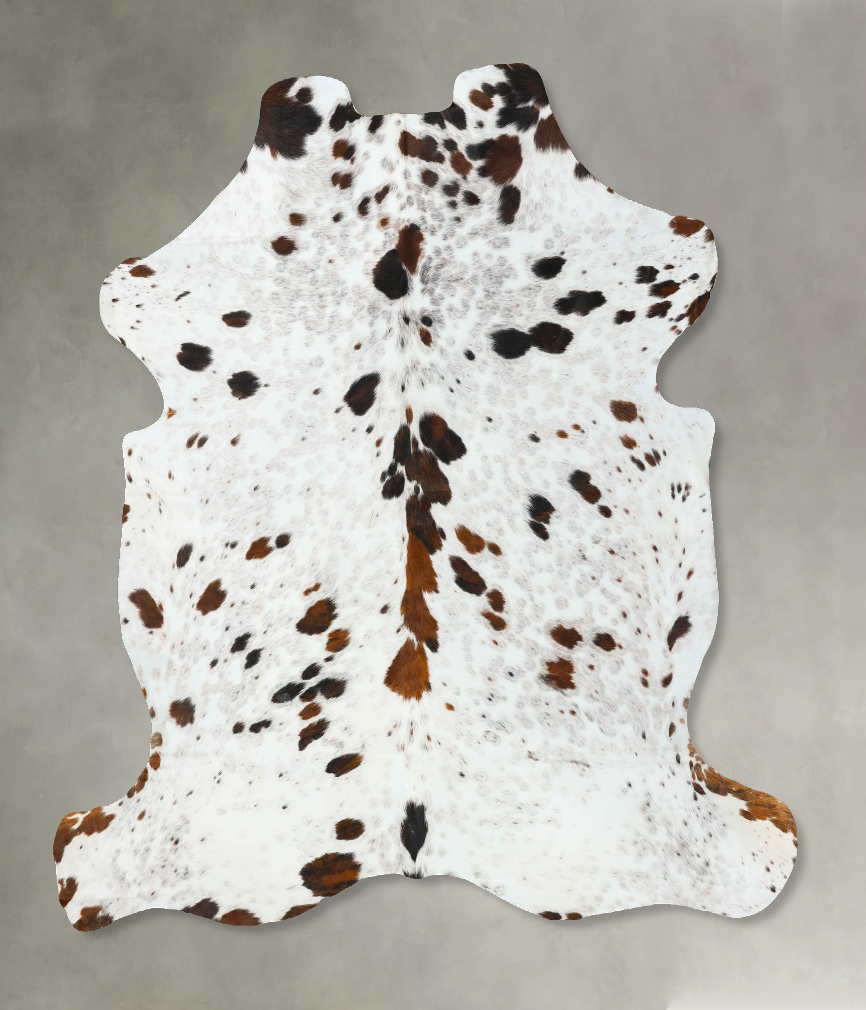 Tricolor Cowhide Rug #B22698