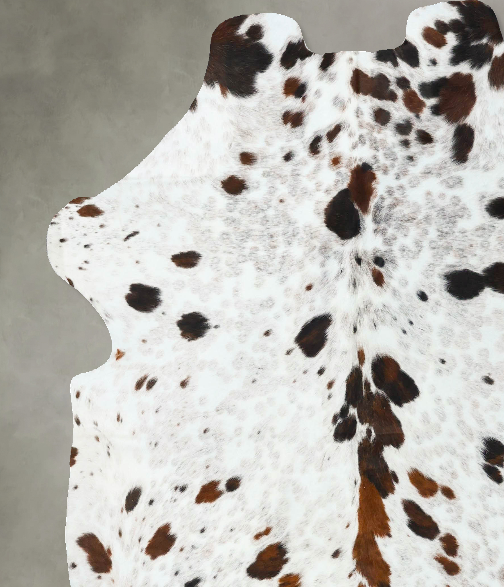 Tricolor Cowhide Rug #B22698