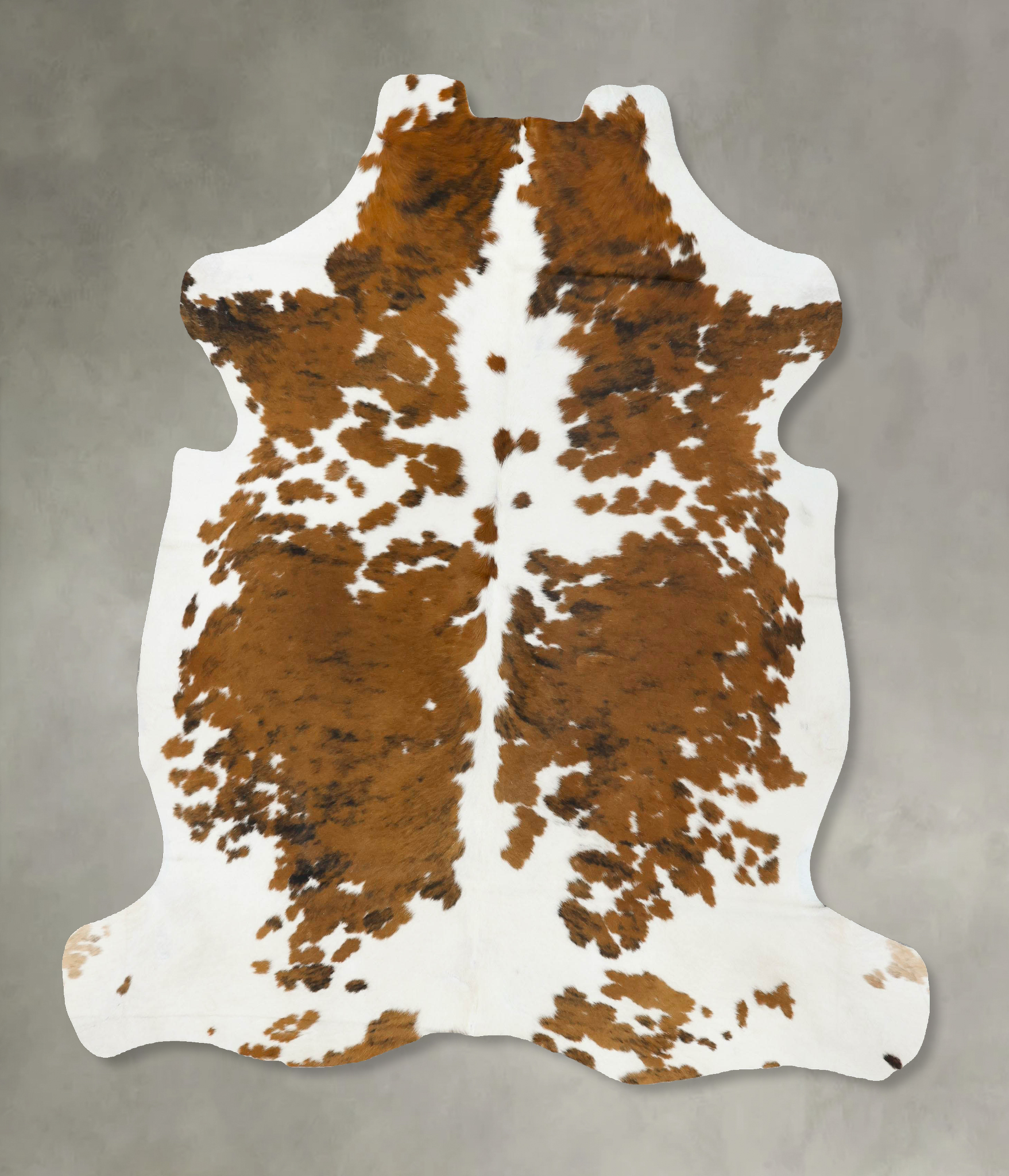 Tricolor Cowhide Rug #B22699