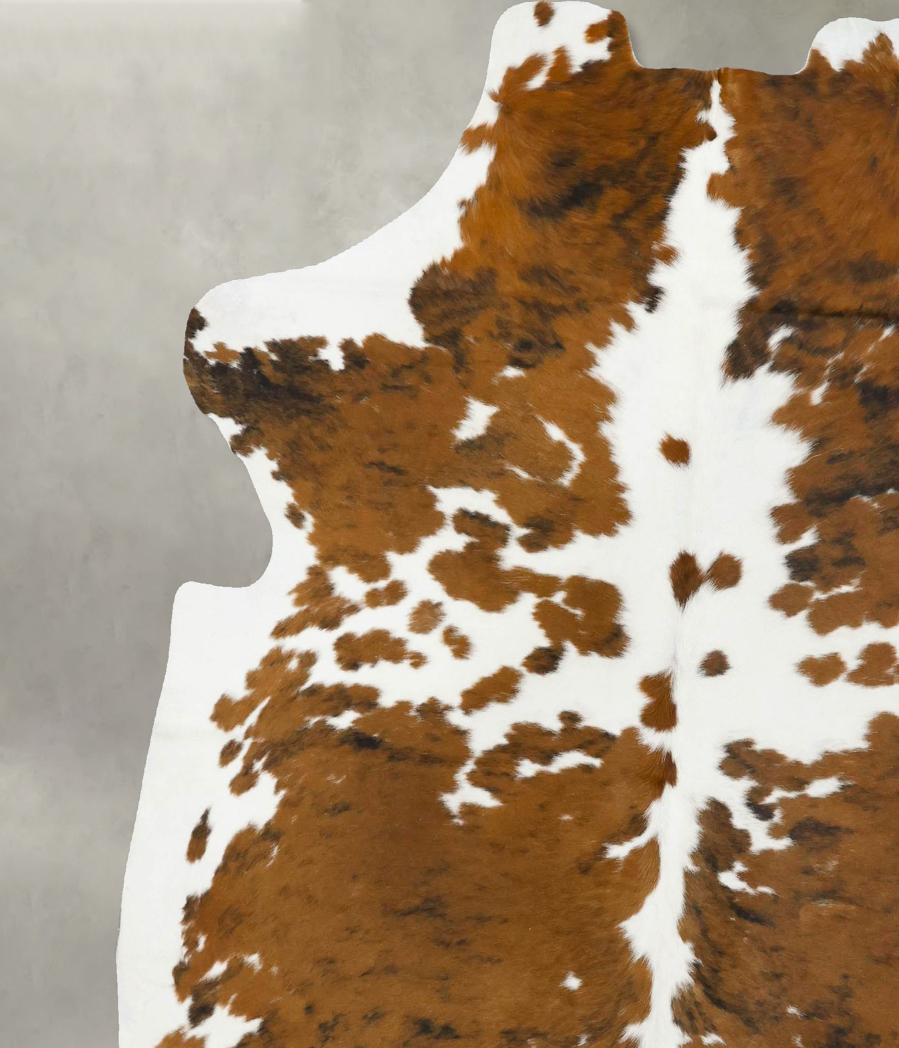 Tricolor Cowhide Rug #B22699