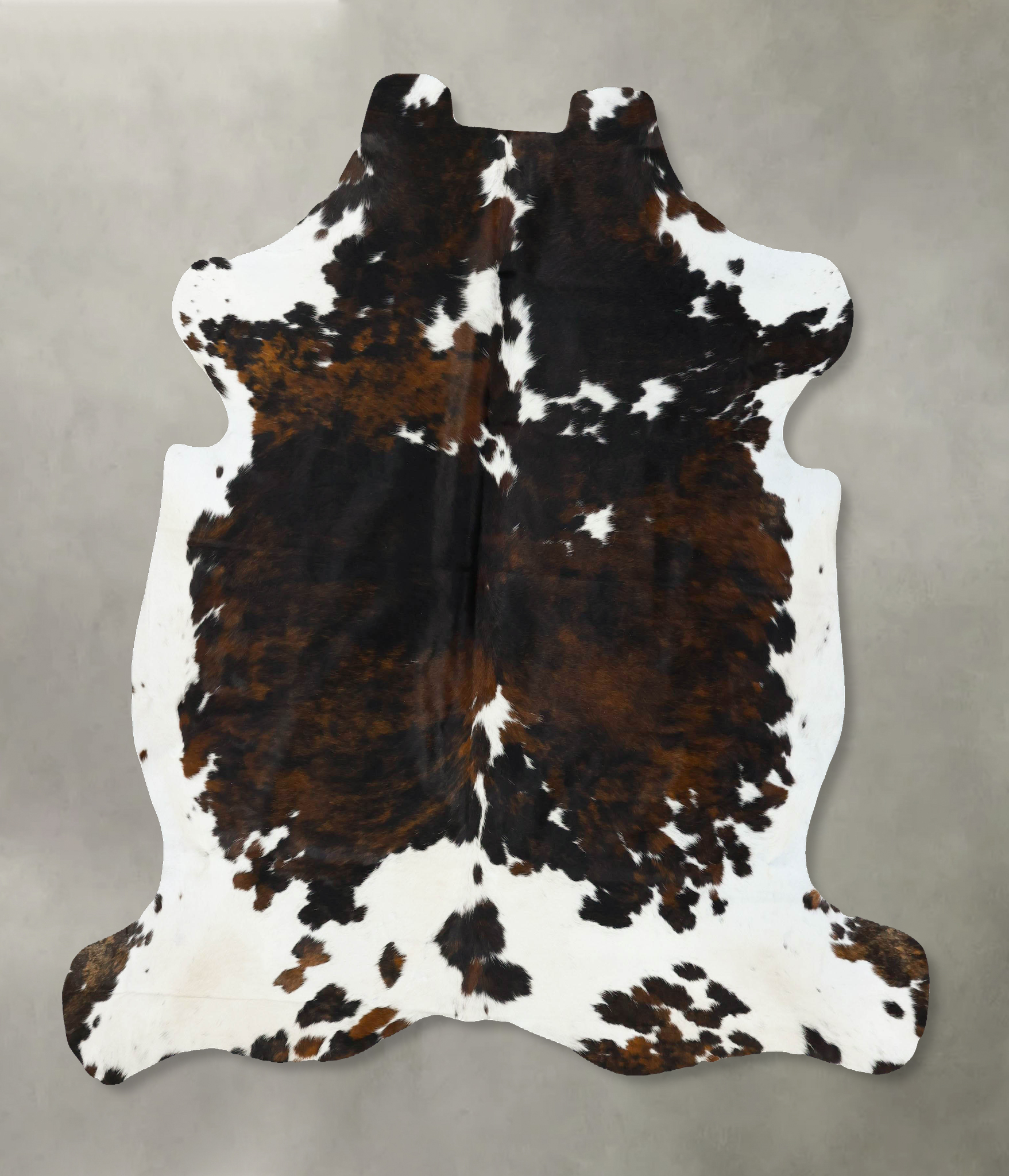 Tricolor Cowhide Rug #B22700