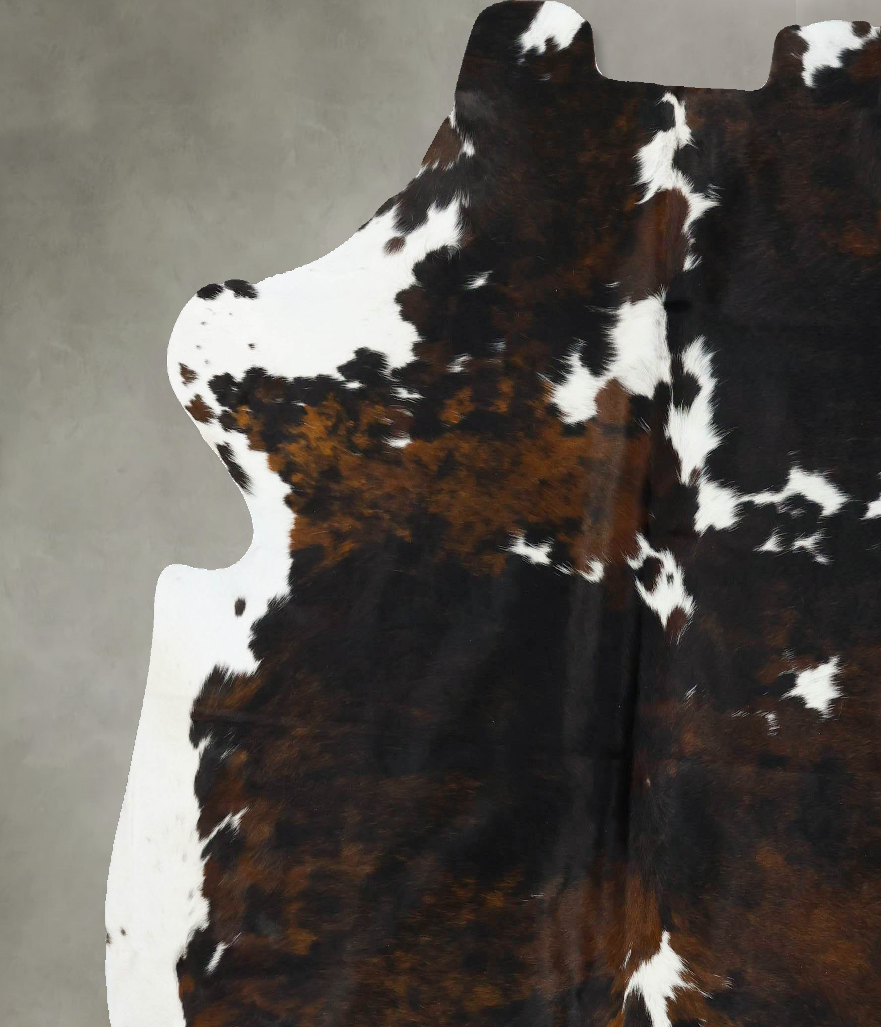 Tricolor Cowhide Rug #B22700