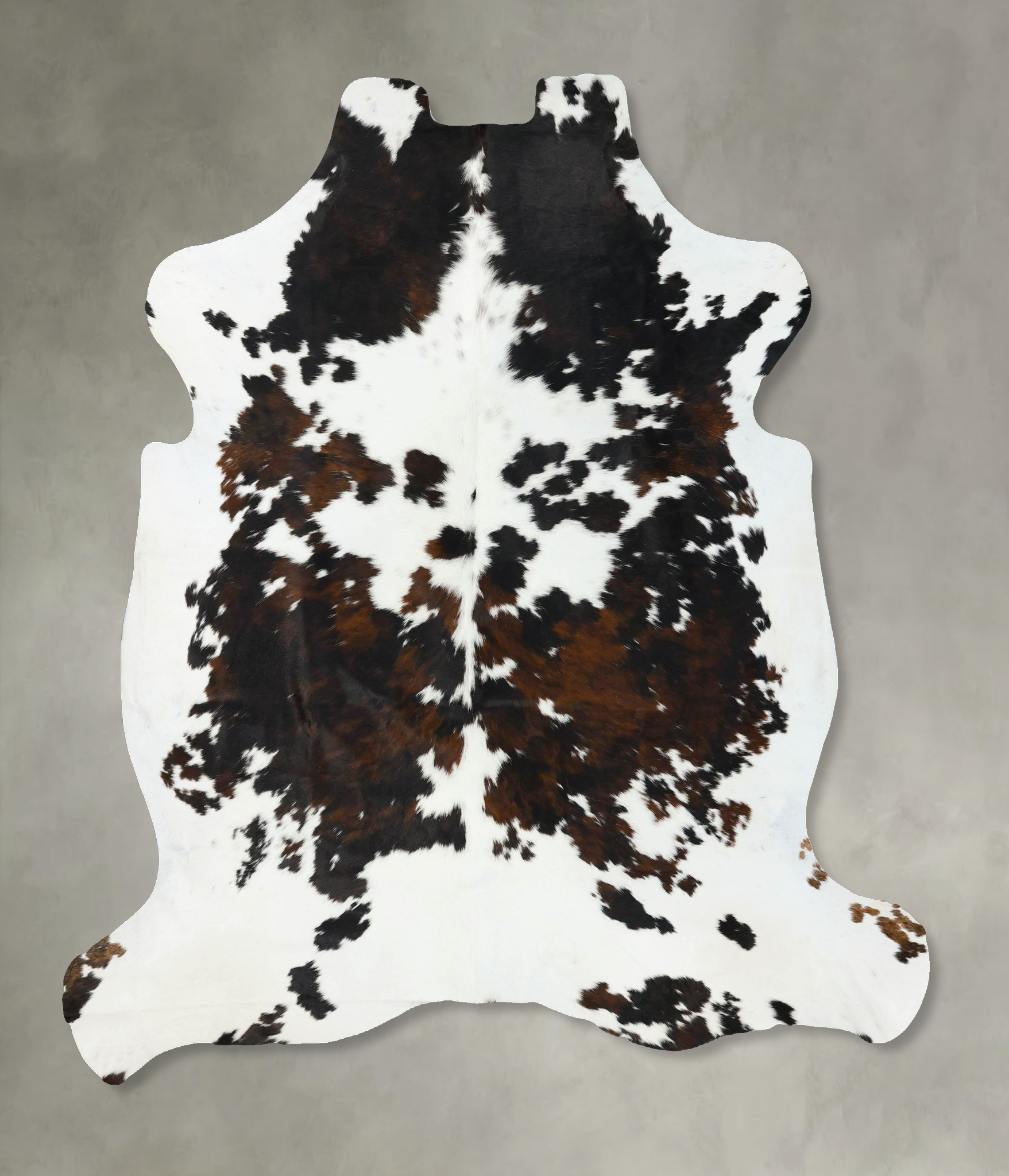Tricolor Cowhide Rug #B22701
