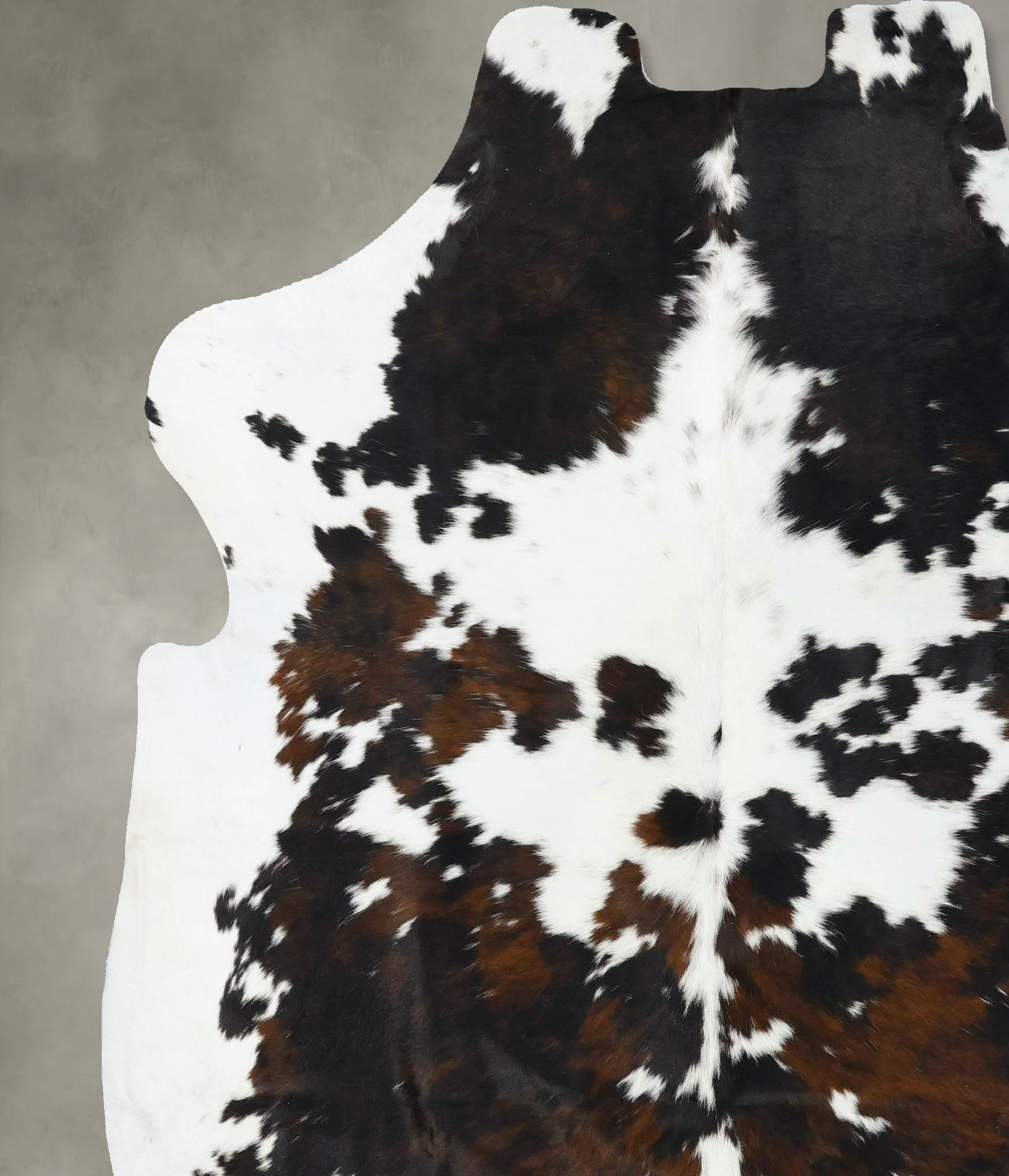 Tricolor Cowhide Rug #B22701