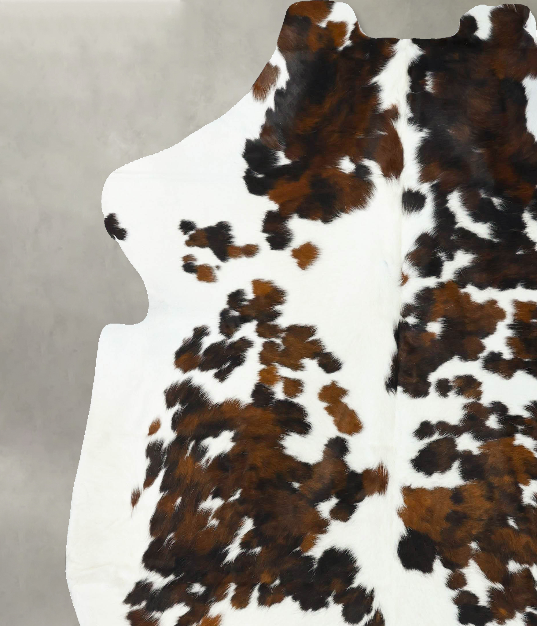 Tricolor Cowhide Rug #B22702