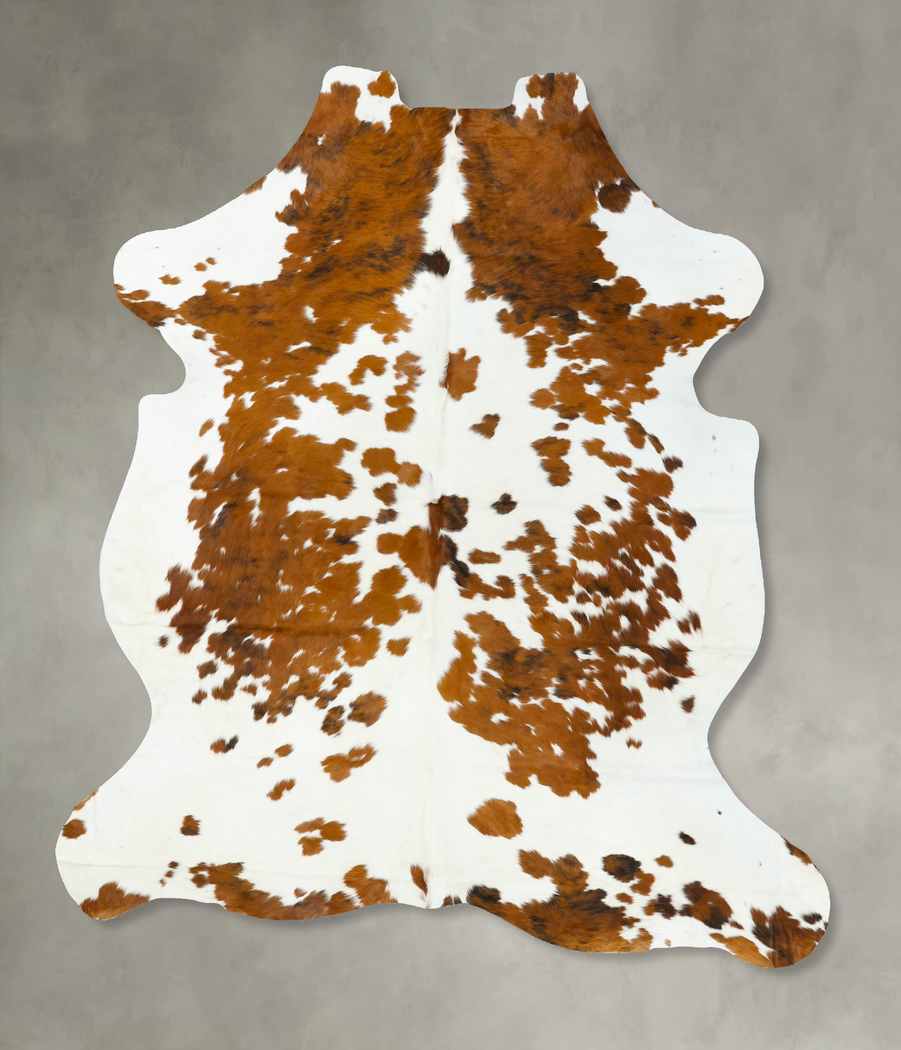 Tricolor Cowhide Rug #B22703