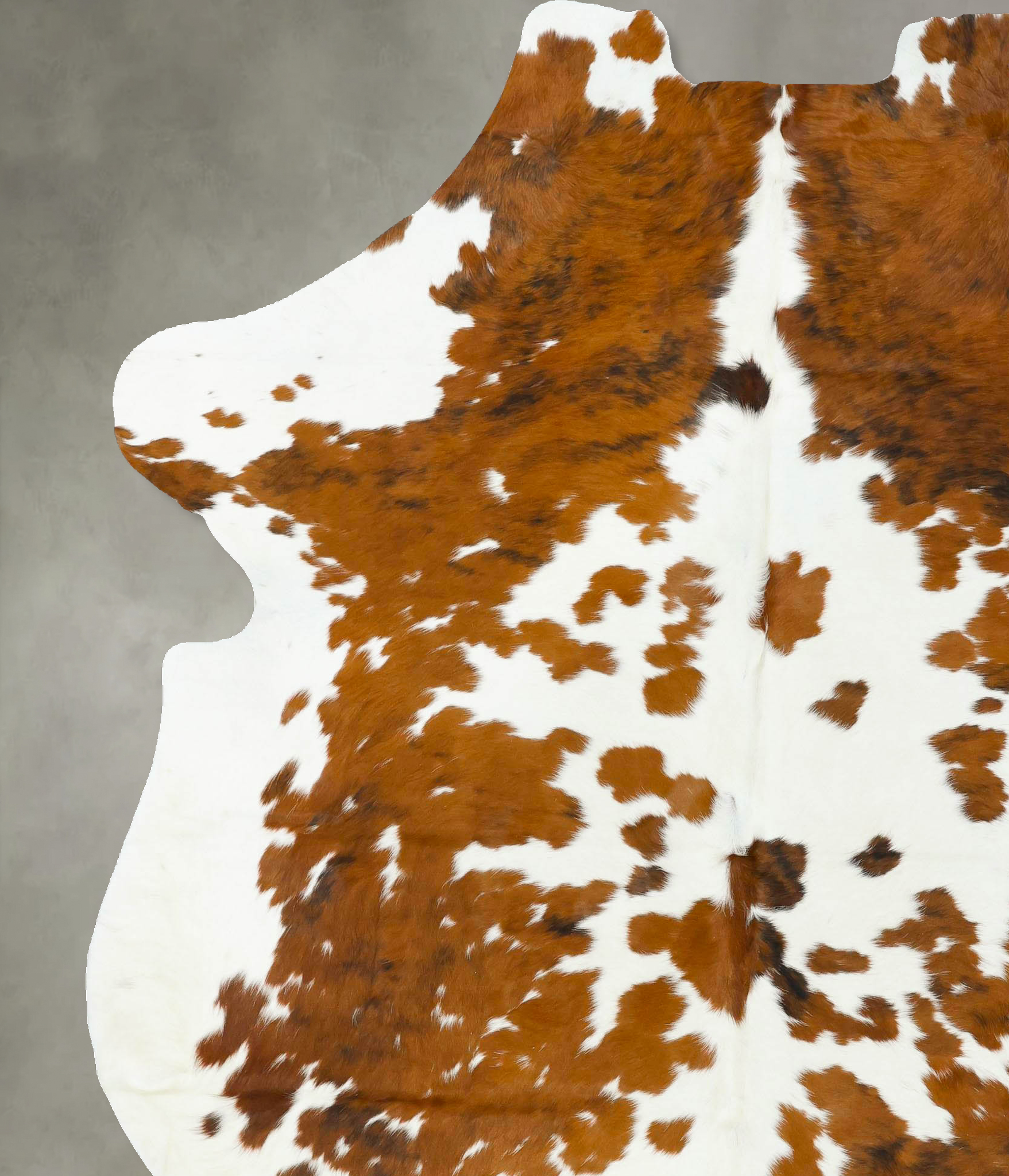Tricolor Cowhide Rug #B22703
