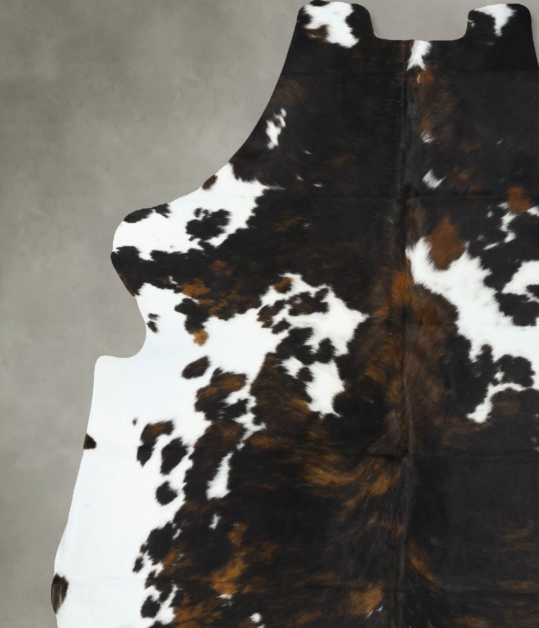 Tricolor Cowhide Rug #B22705
