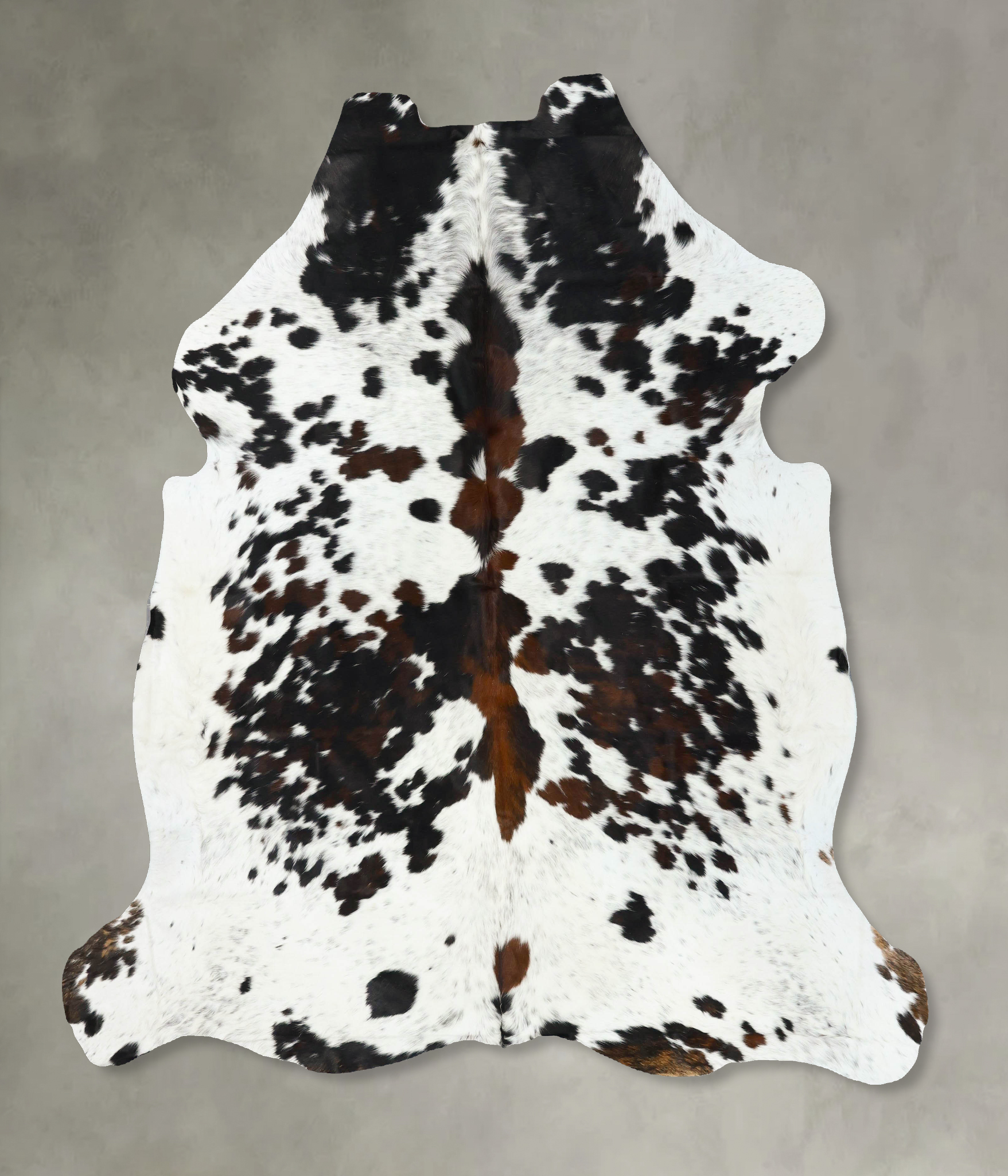 Tricolor Cowhide Rug #B22706