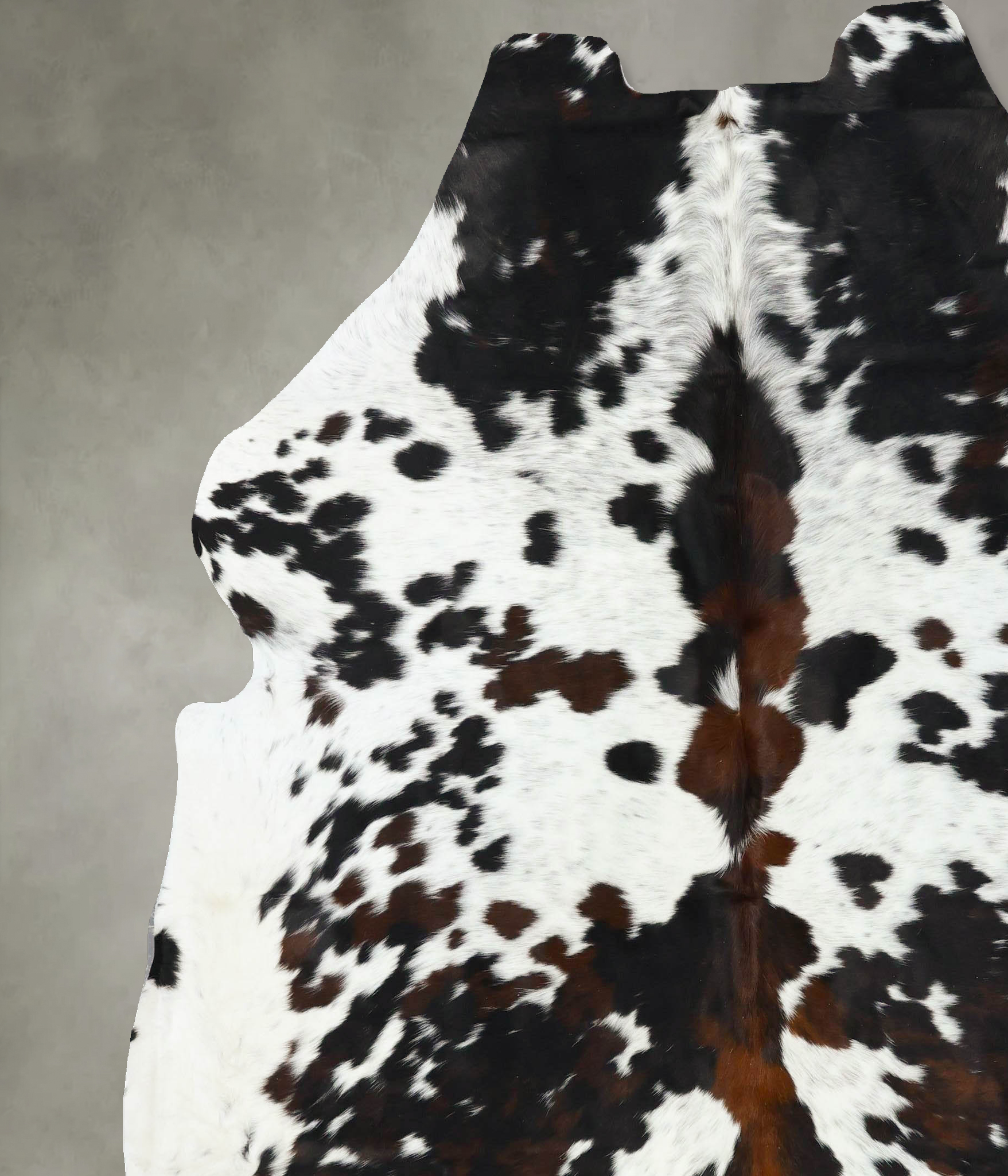 Tricolor Cowhide Rug #B22706