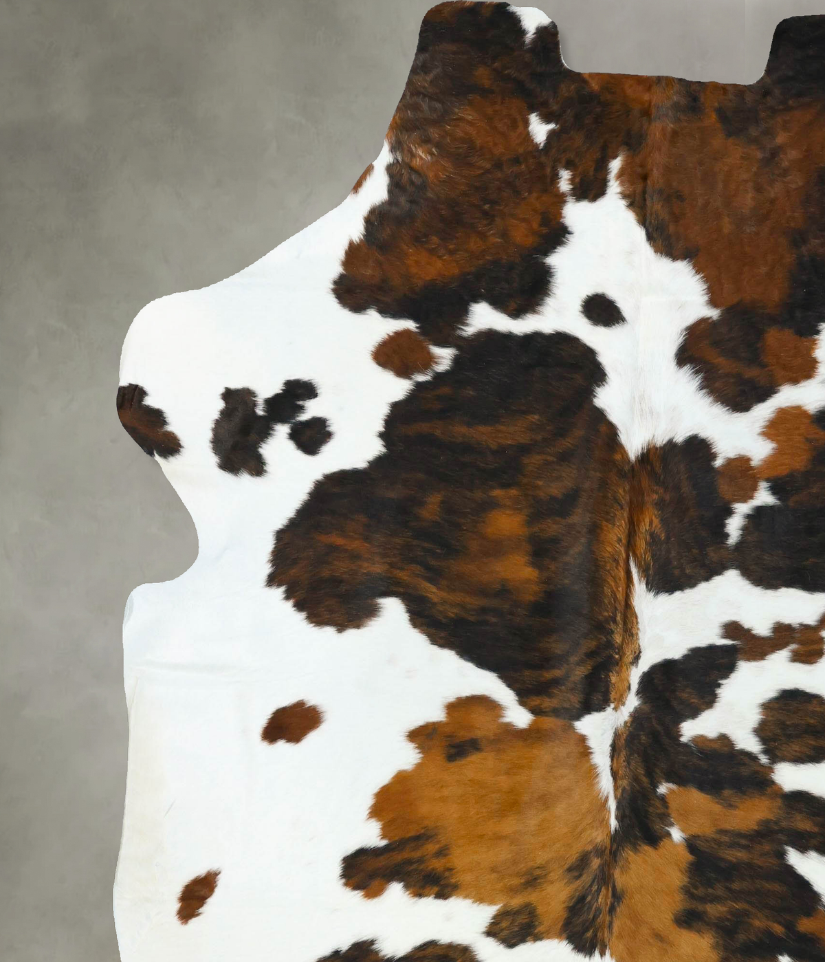 Tricolor XX-Large European Cowhide Rug 7'11"H x 6'9"W #B22710 by Hudson Hides