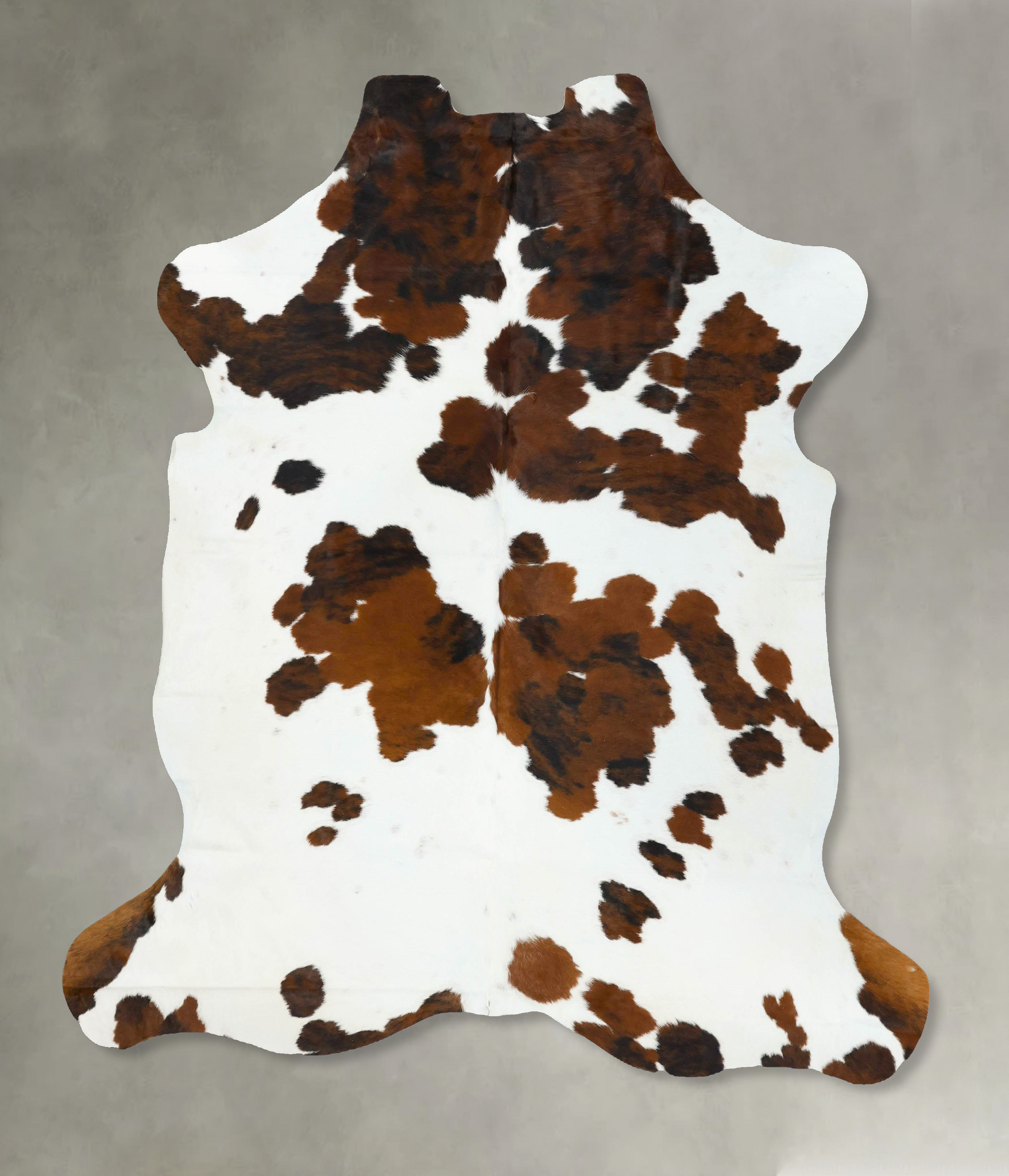 Tricolor Cowhide Rug #B22711